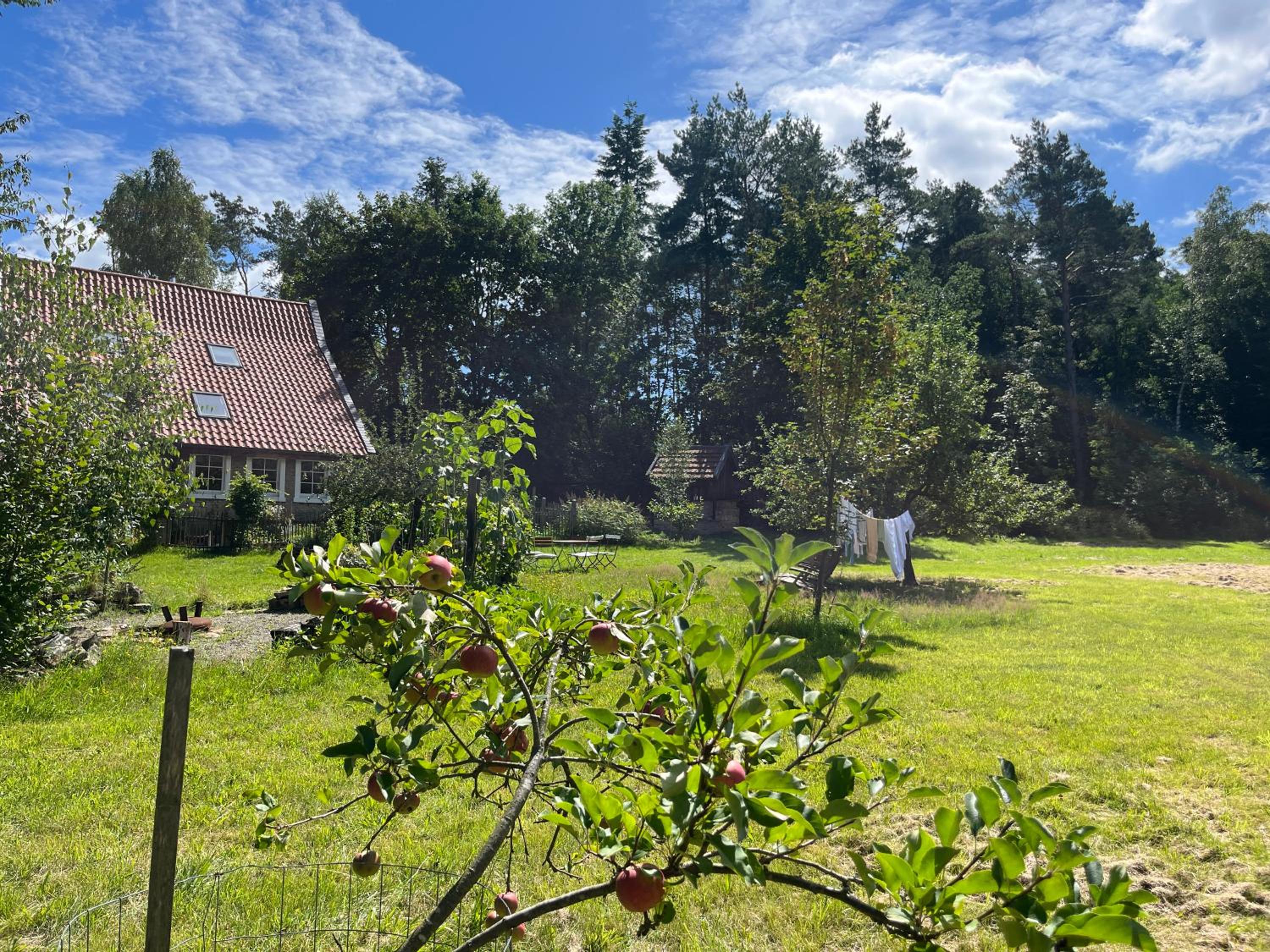 Grün in Grün