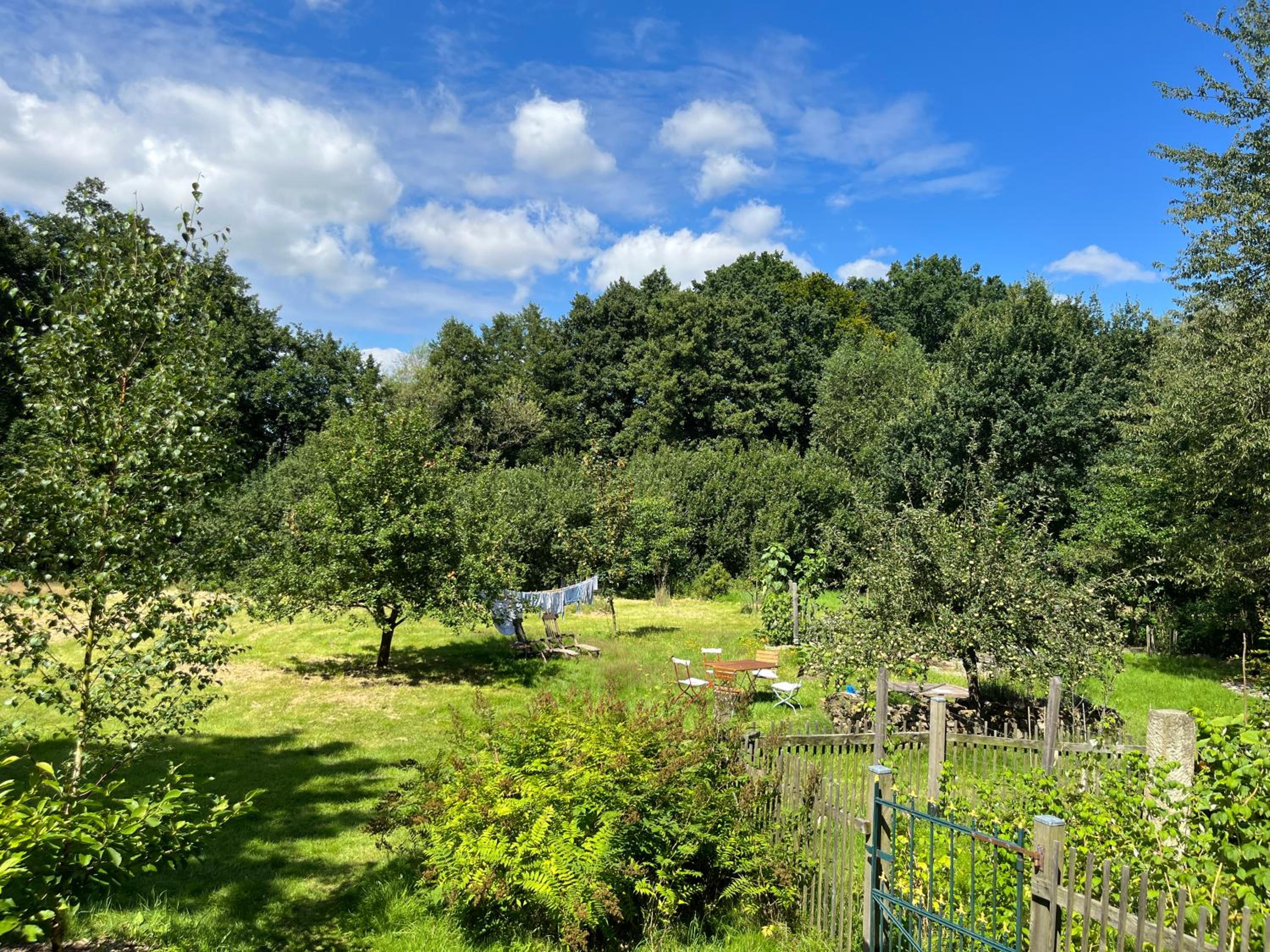 Grün in Grün