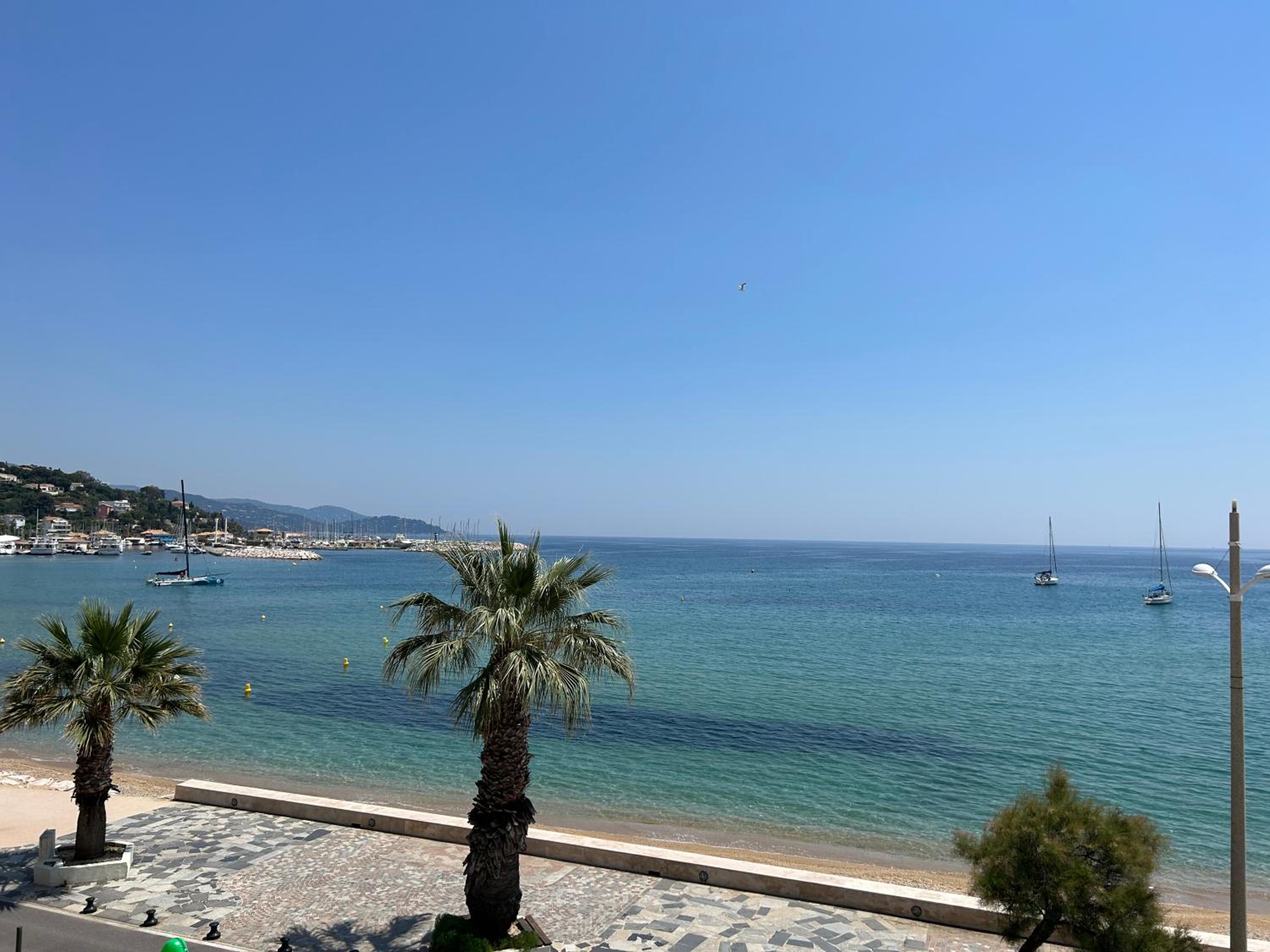 Premium Sea Front Apartment