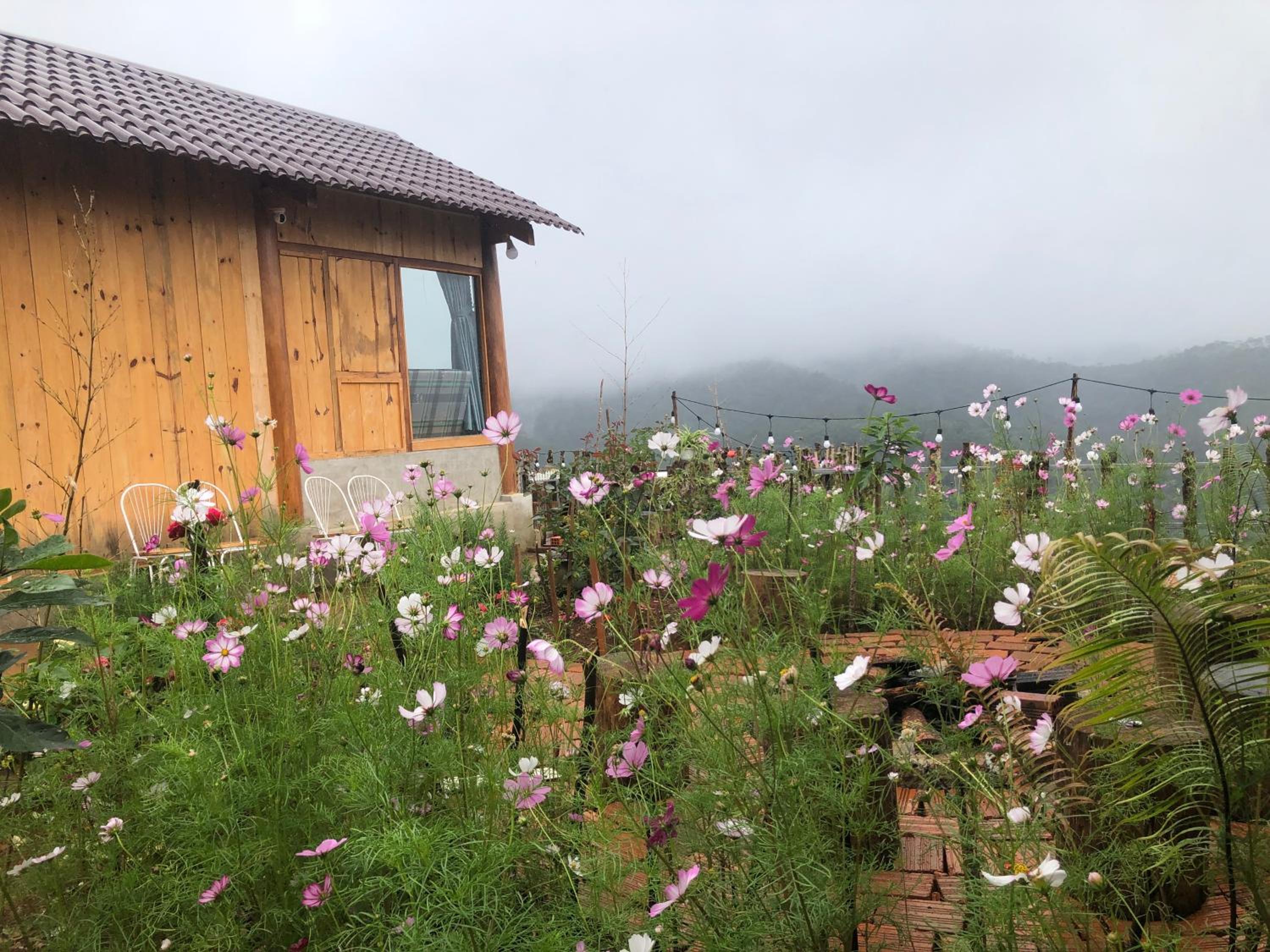 THIÊN HƯƠNG Homestay Măng Đen view 4