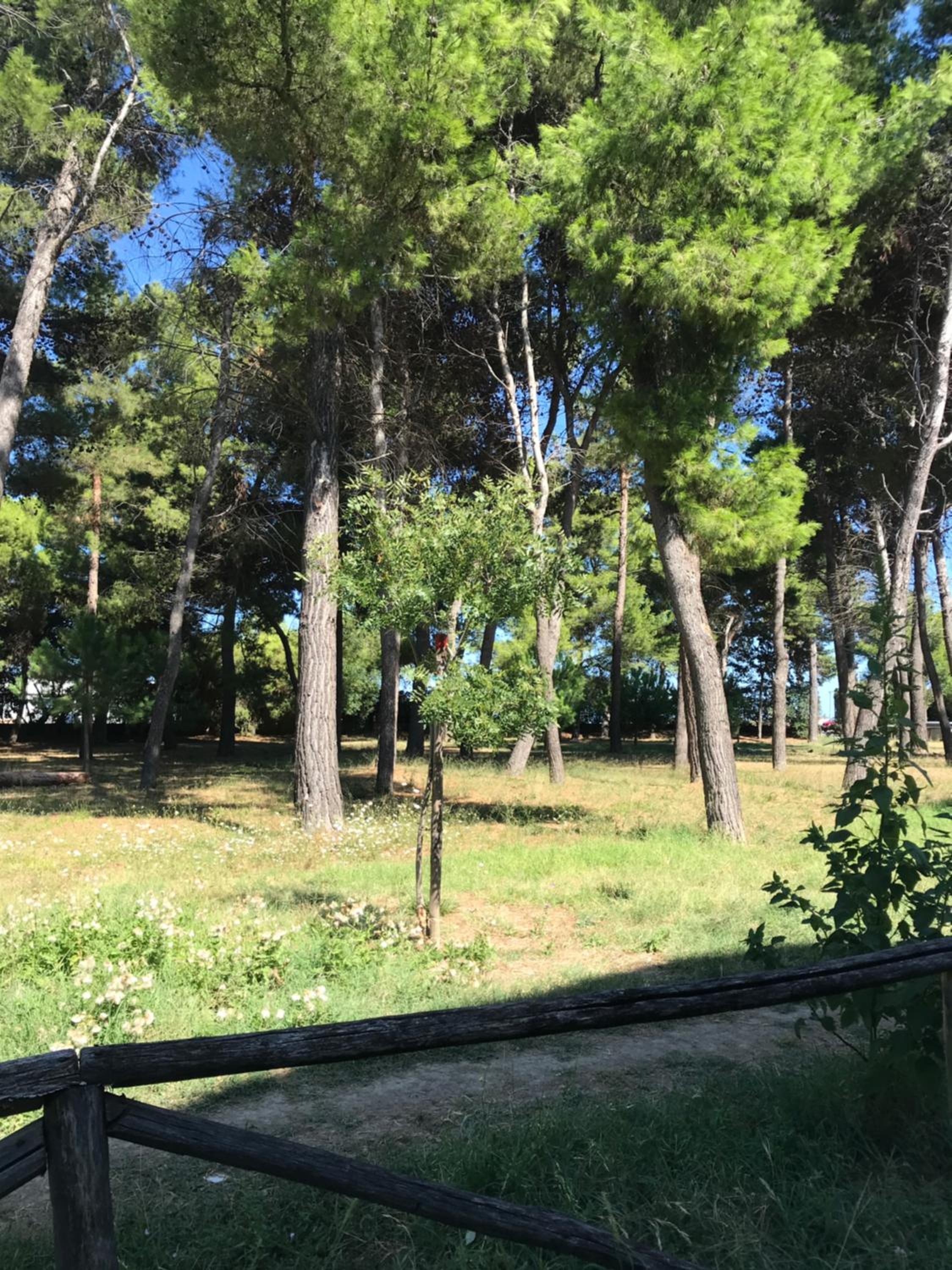 A due passi dal mare photo 2