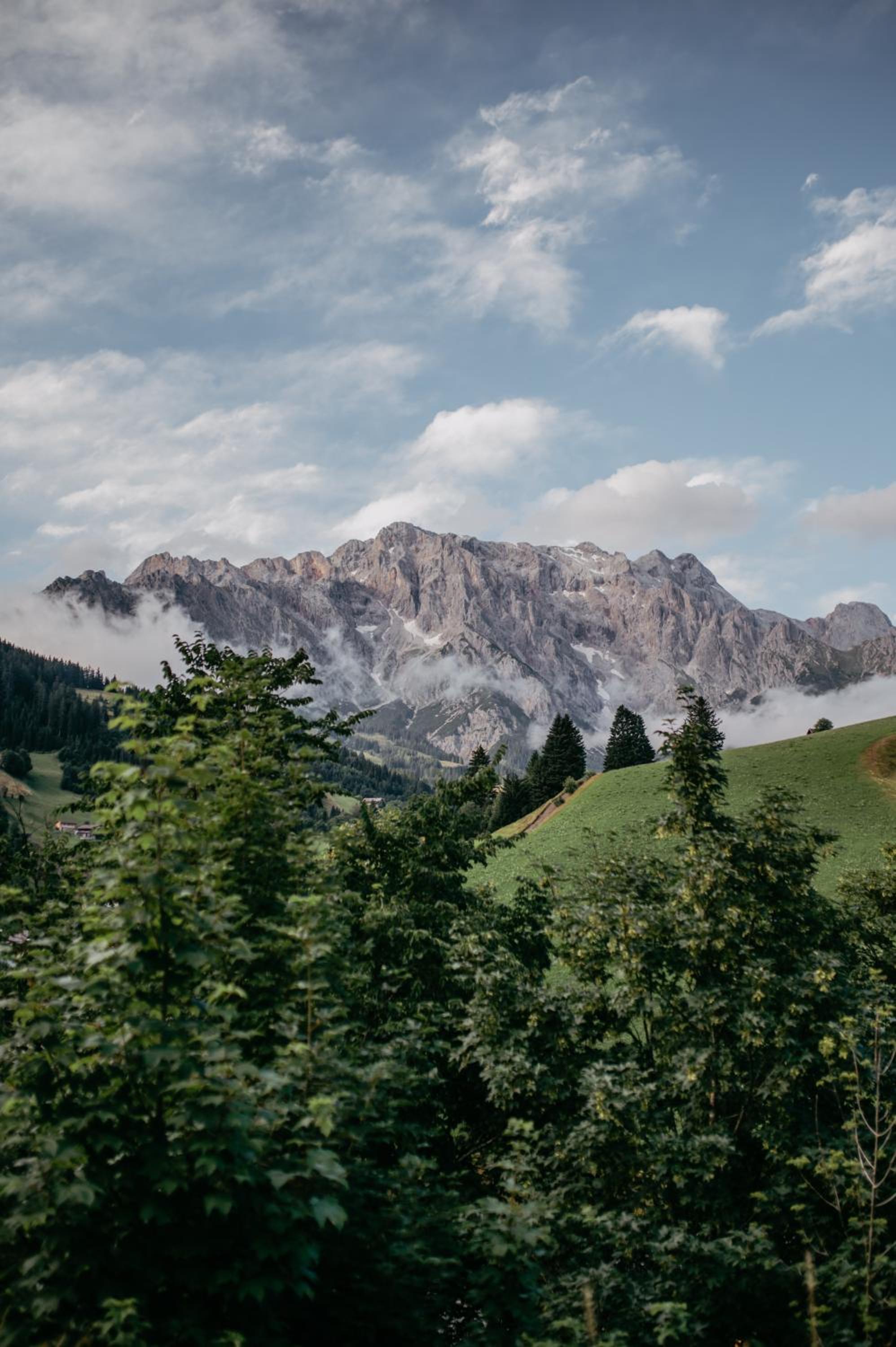 ALMHOF Alpin Apartments & Spa