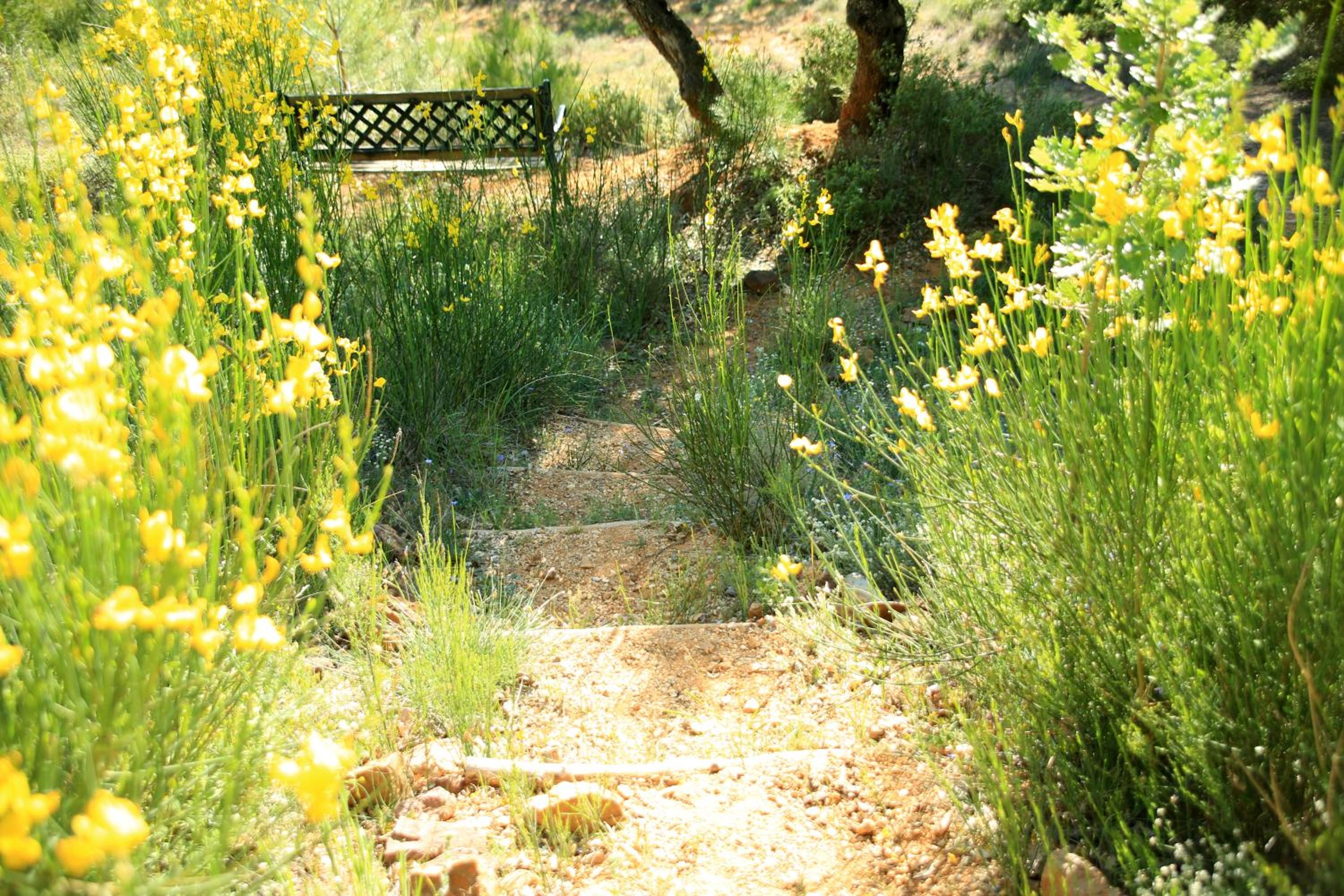 La Colline des Ocres Village de vacances
