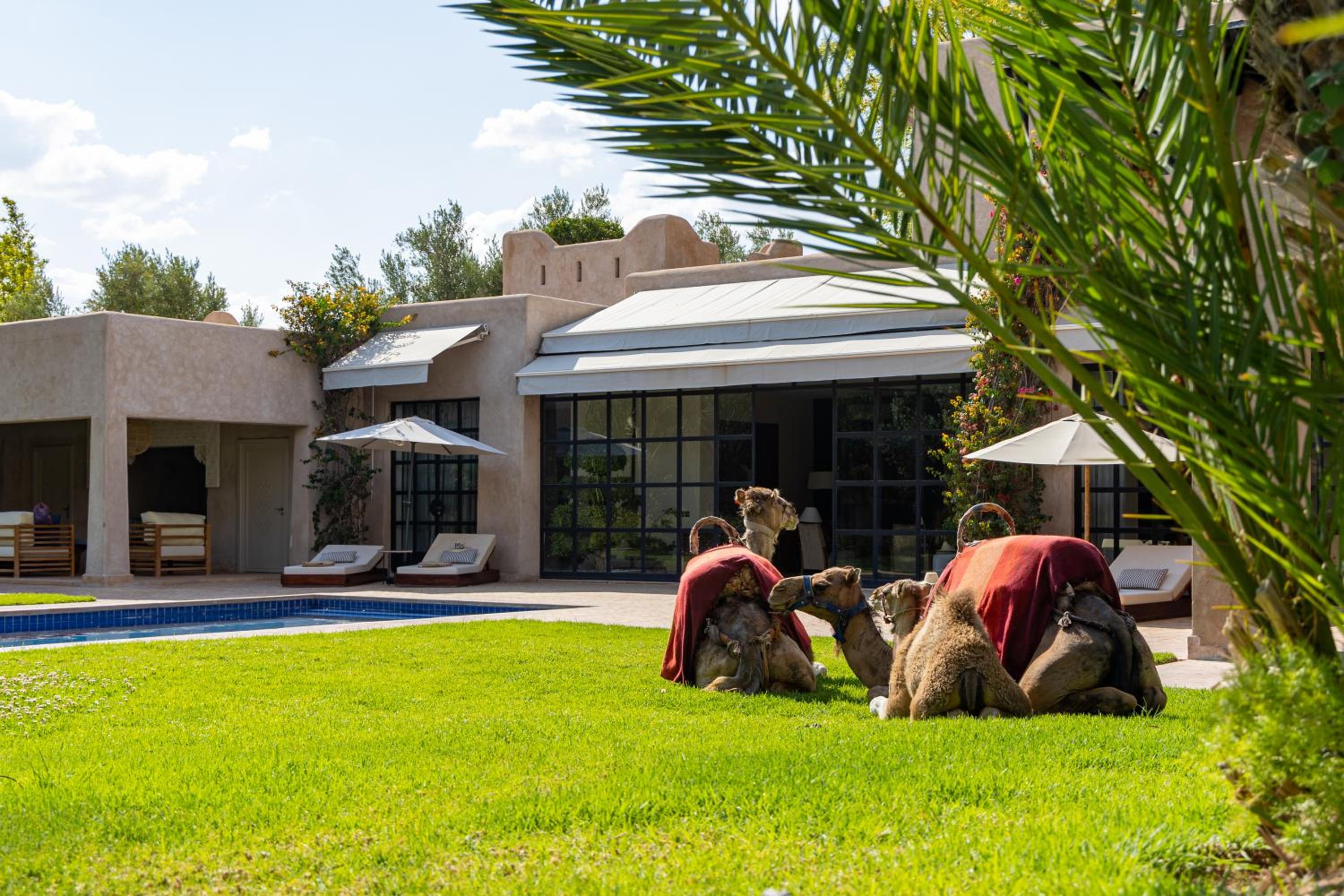 Villa Sahar Palmeraie avec piscine chauffée !