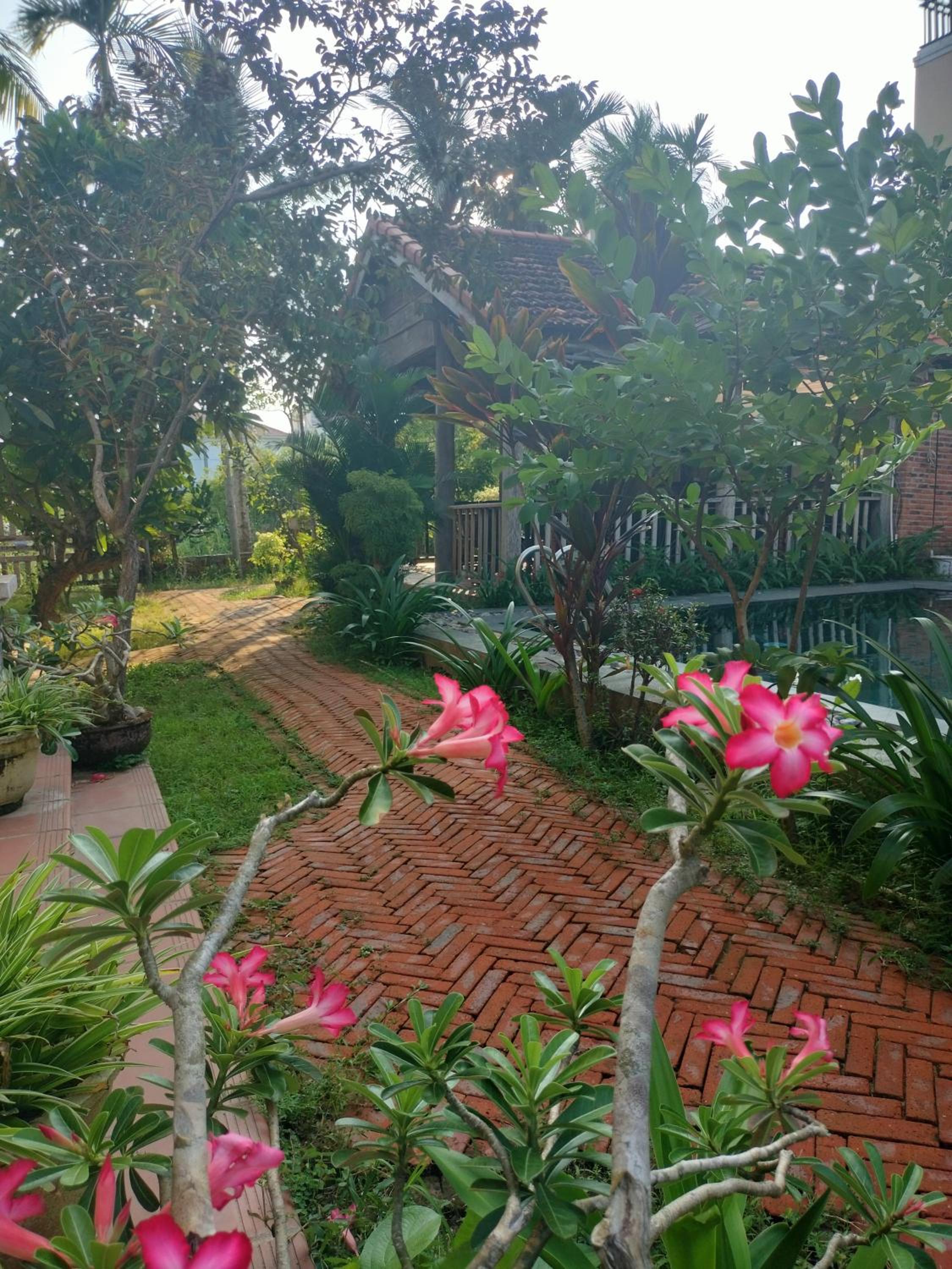 Lama Villa Hoi An