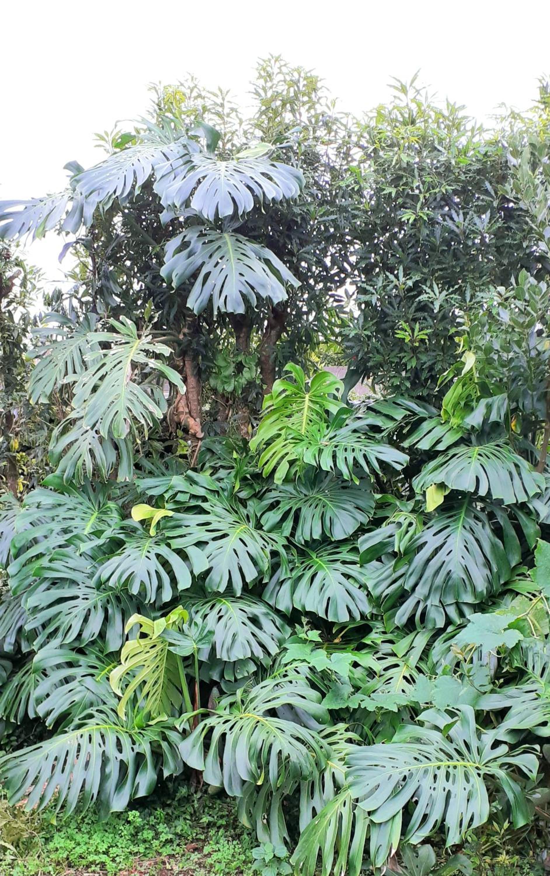 Quinta das rãs view 5