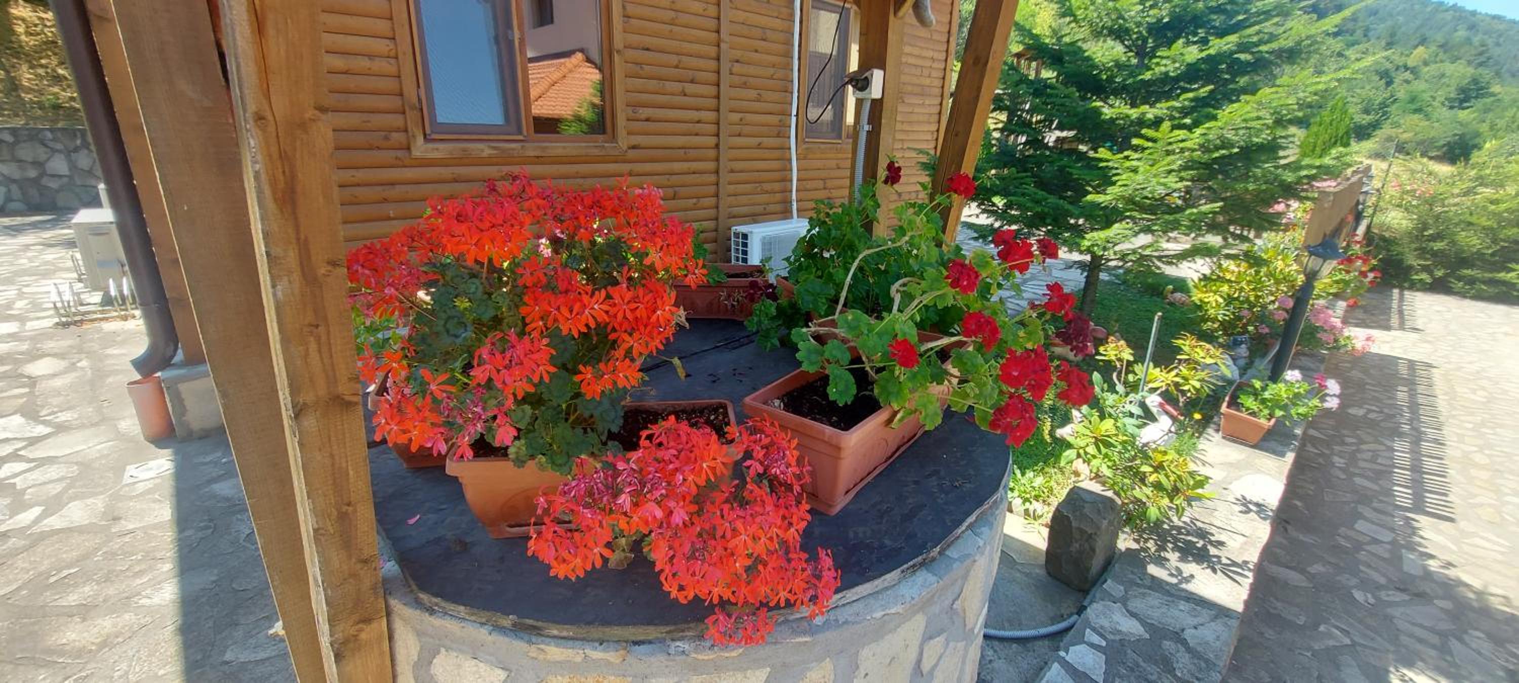 Mini Complex Rilski Terasi