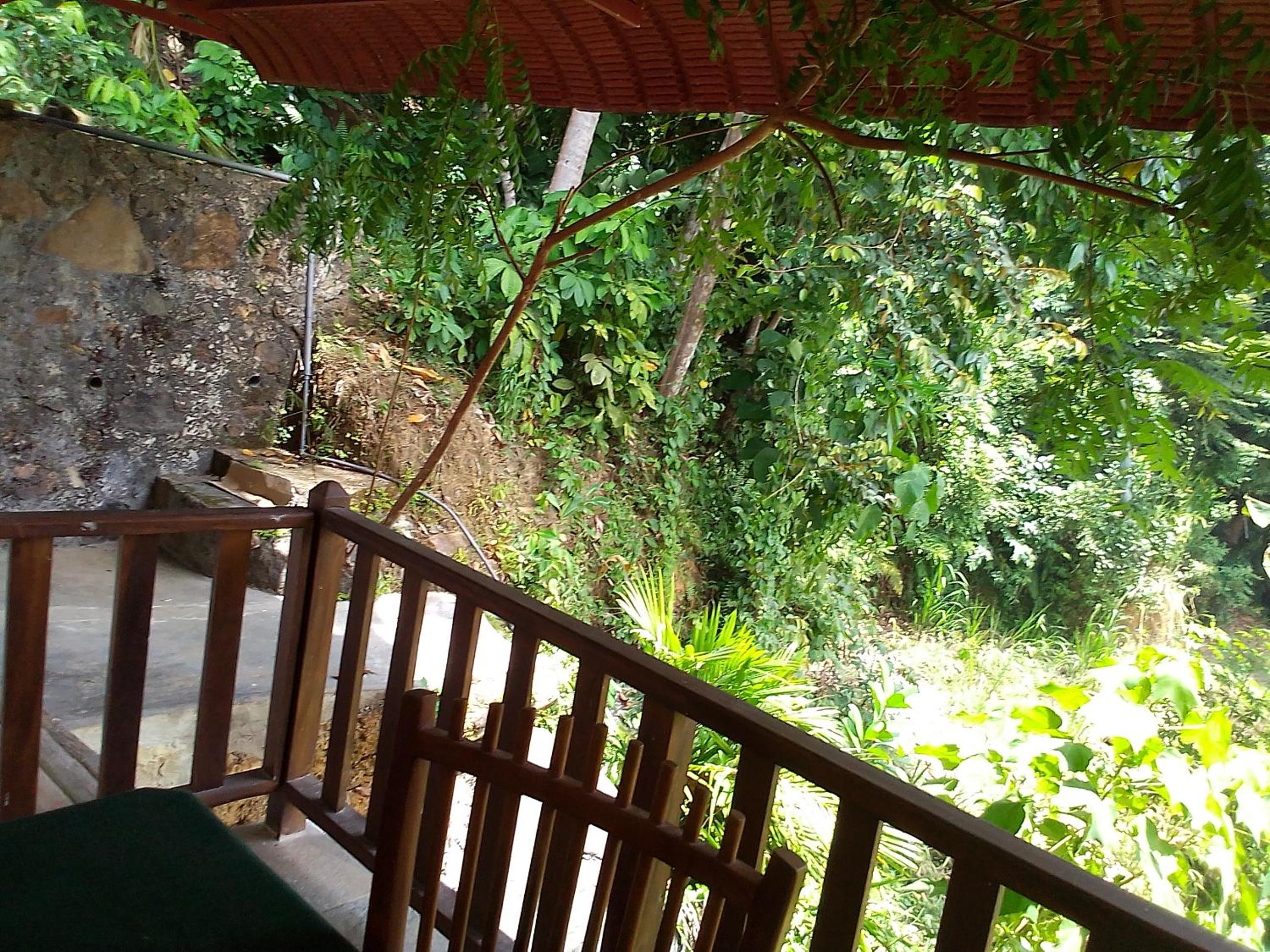 Avinkavilla