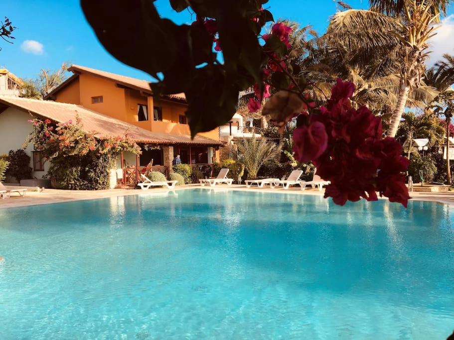 Porto Antigo 2 Beach Club