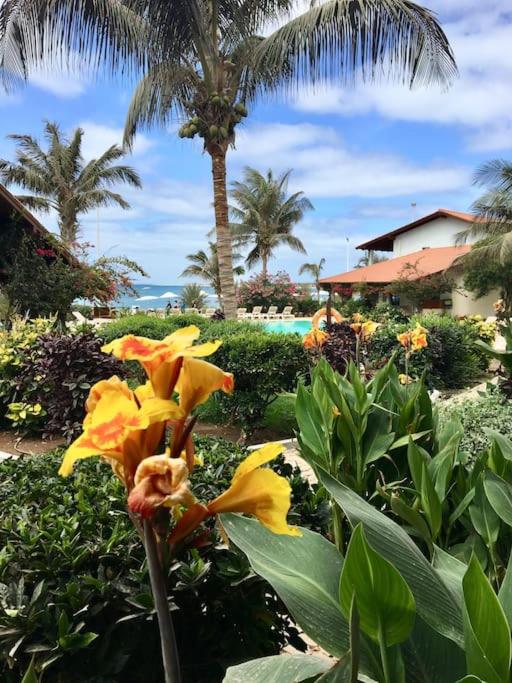 Porto Antigo 2 Beach Club