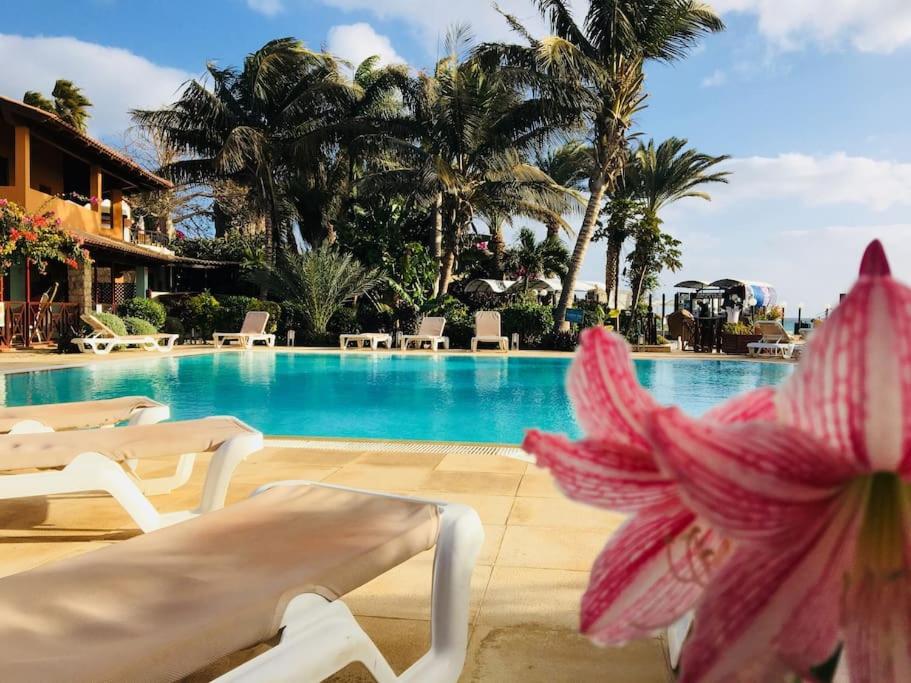 Porto Antigo 2 Beach Club