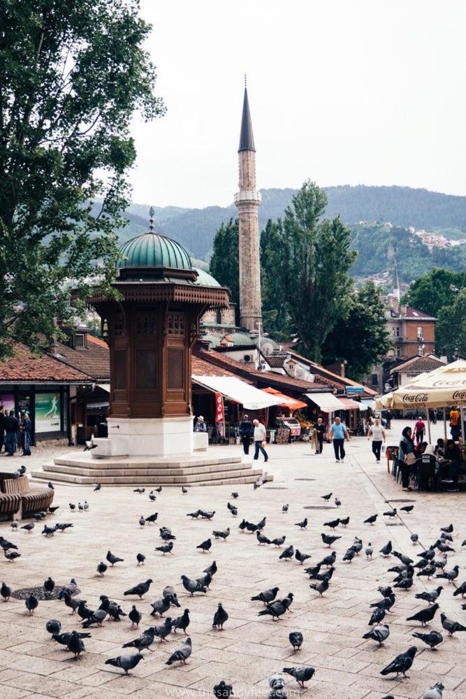 Sarajevo Apartments Casa United view 4