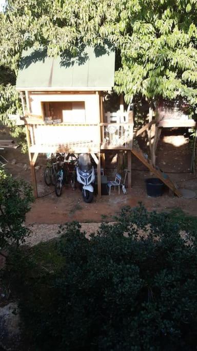Photo 11