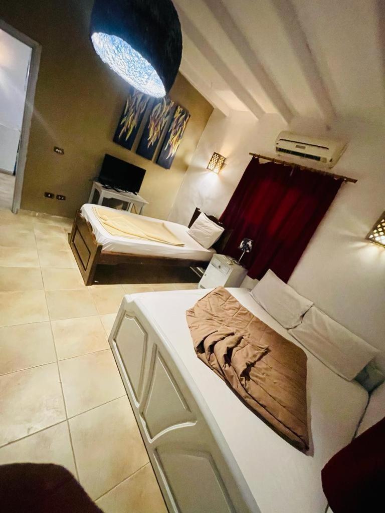 Bedouina House