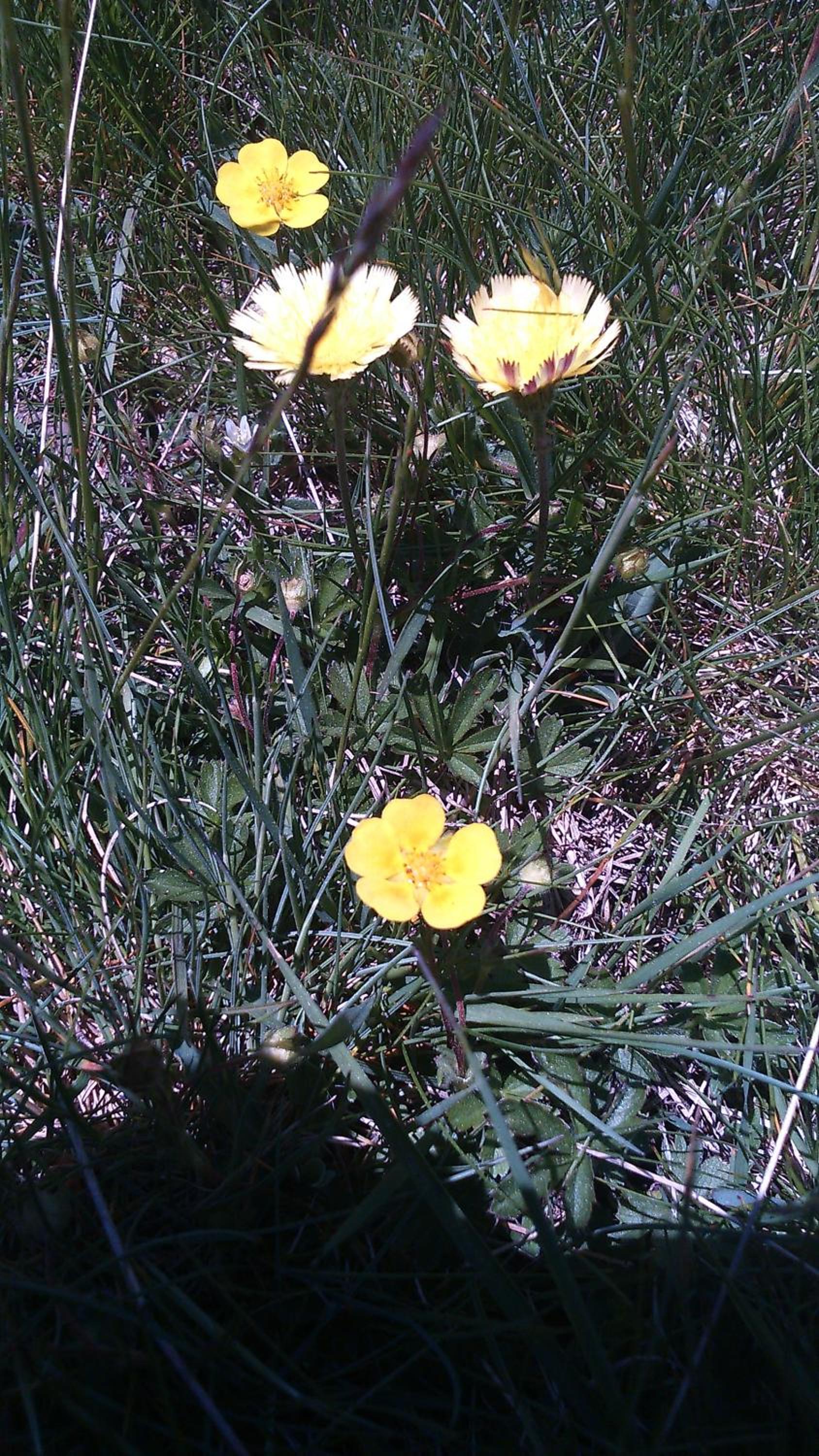Photo 24