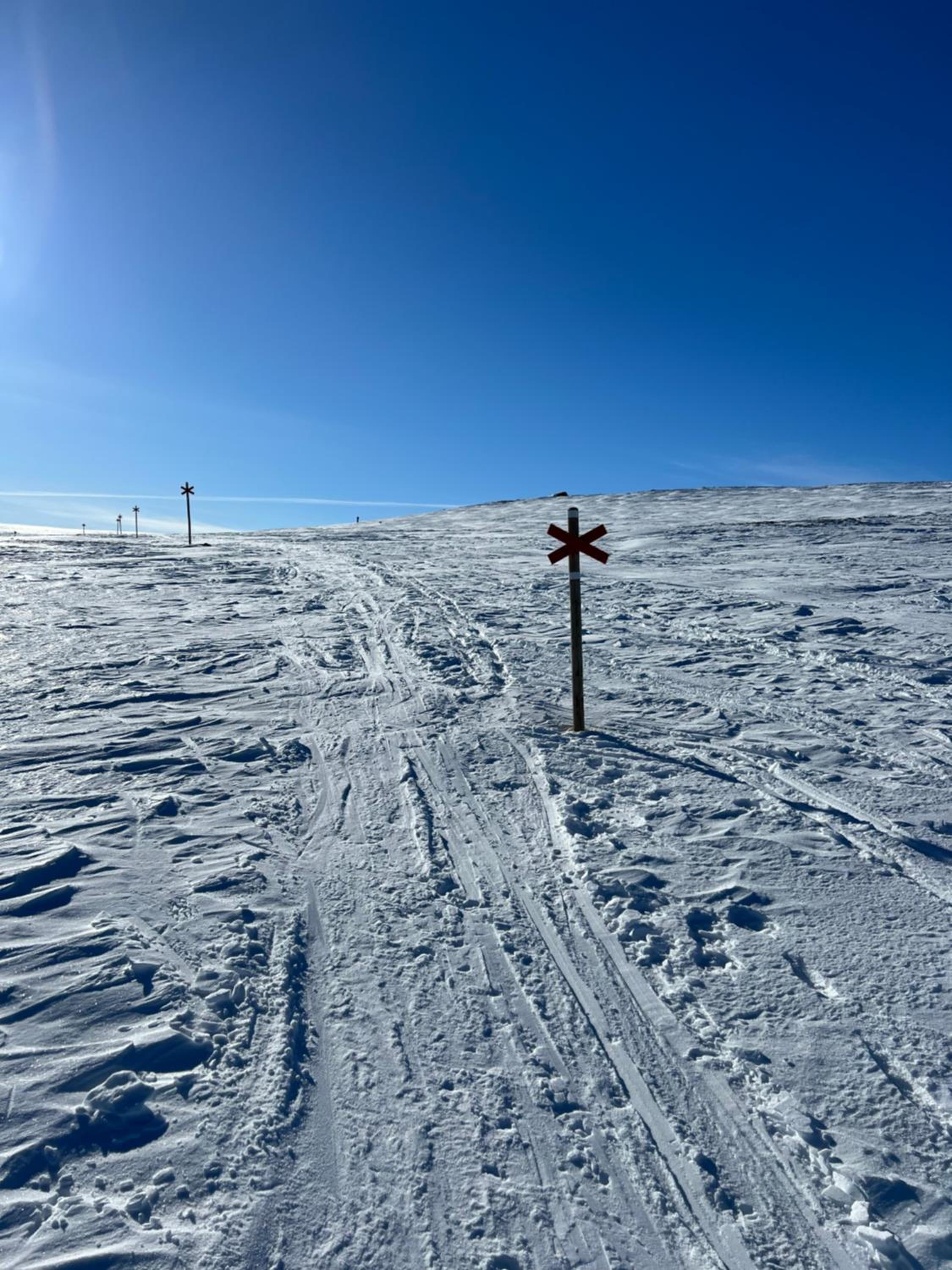 Mysig fjällstuga med direktanslutning till fjället