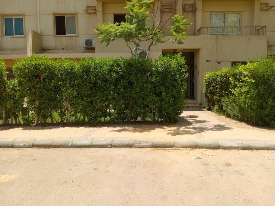 Luxury King Bed with garden-Zayed Families only