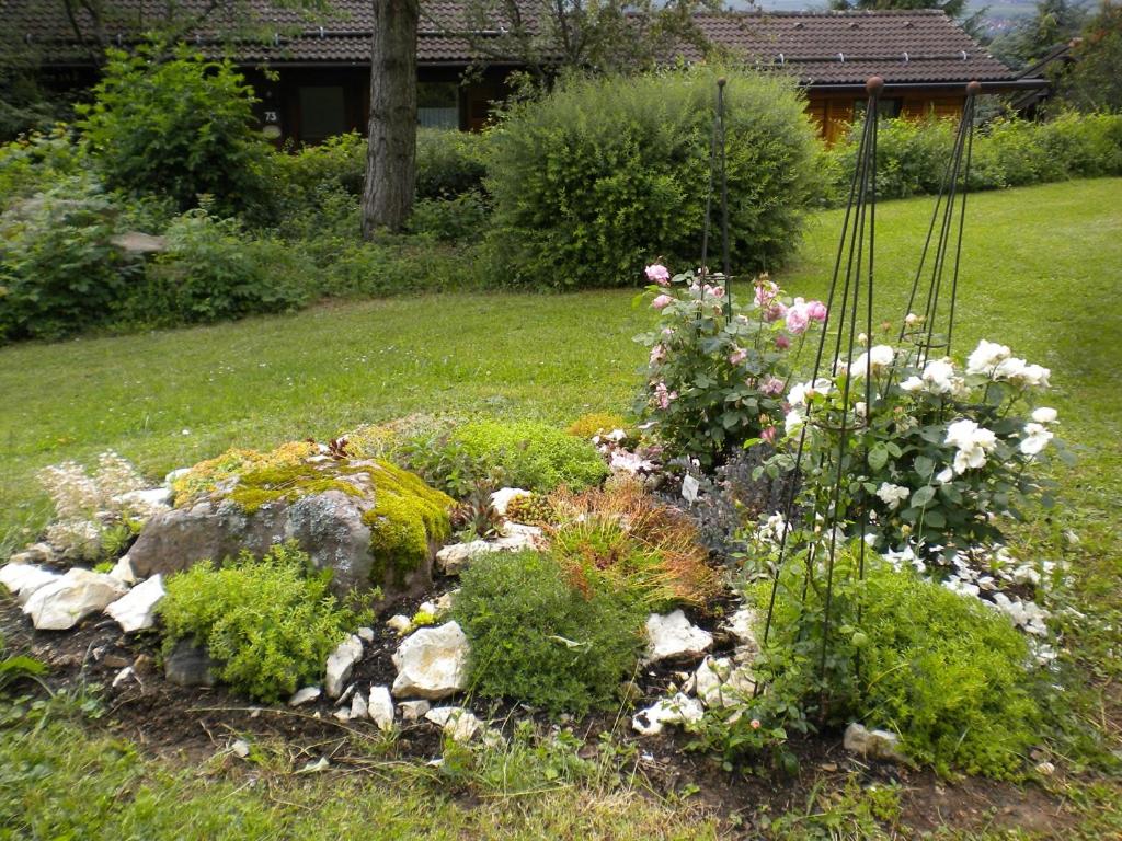 Ferienhäuser Meiß - Feriendorf Öfingen Schwarzwald