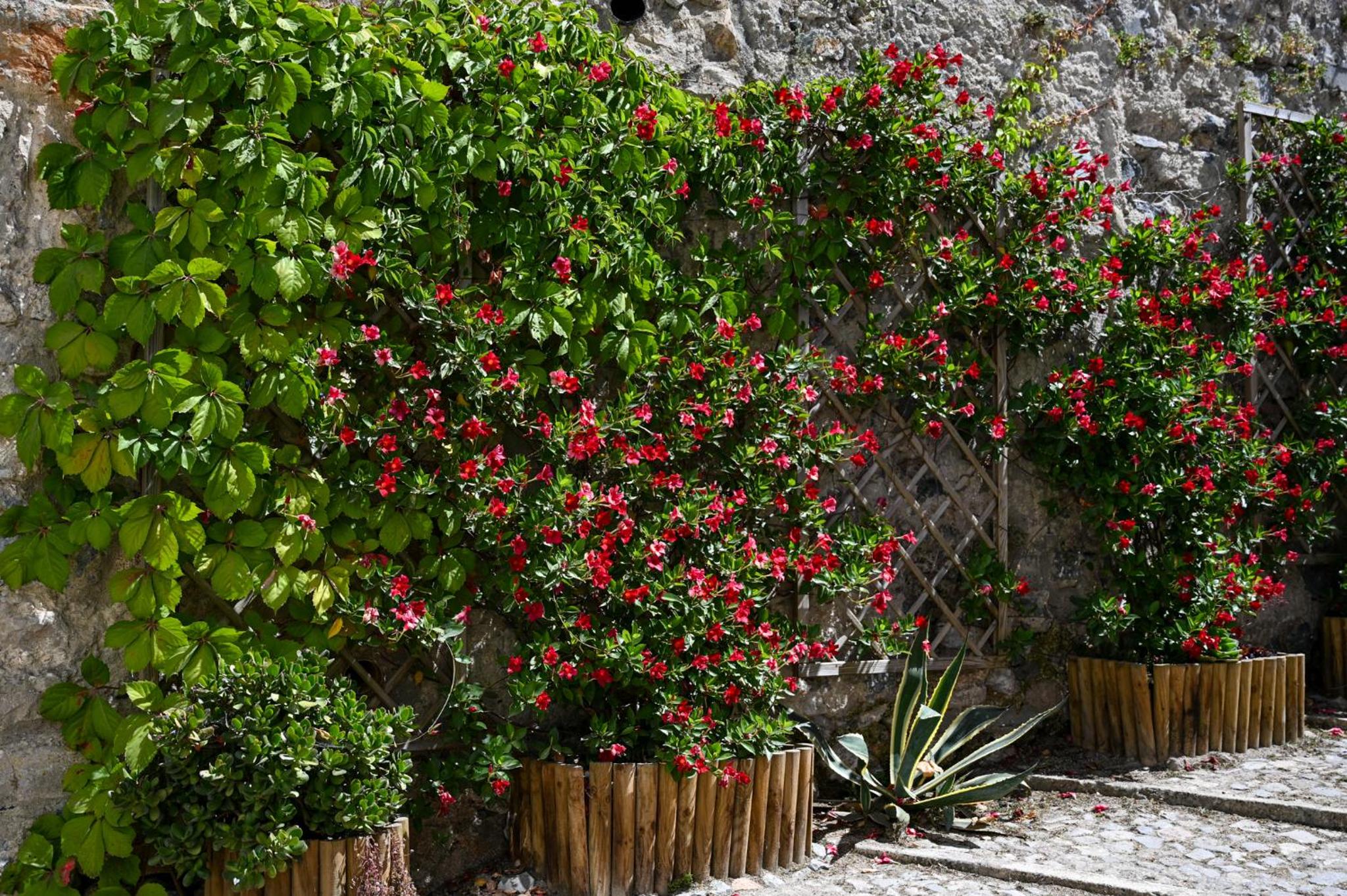 Casa do Briamante 9 view 4