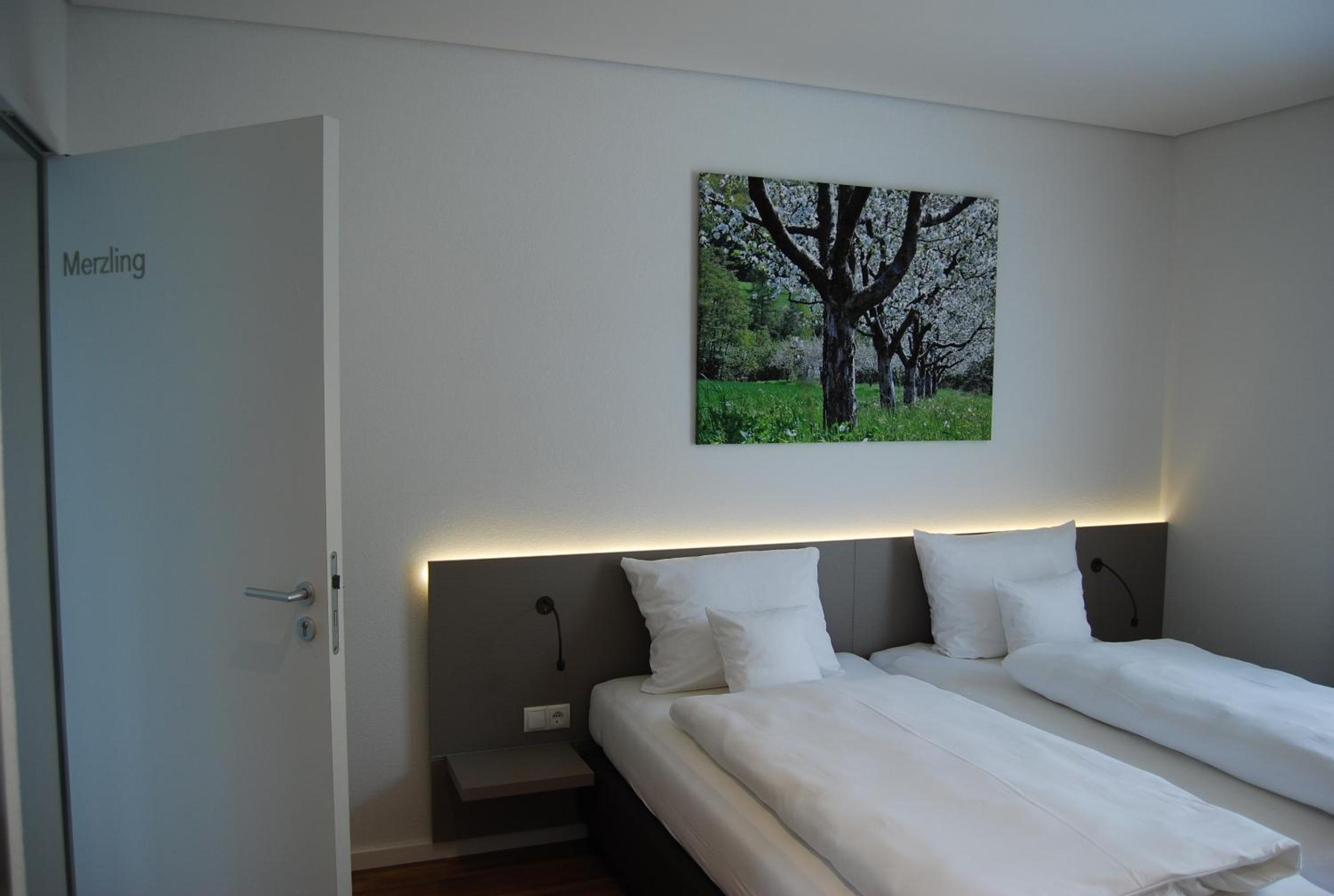 Rebgut, photo 24