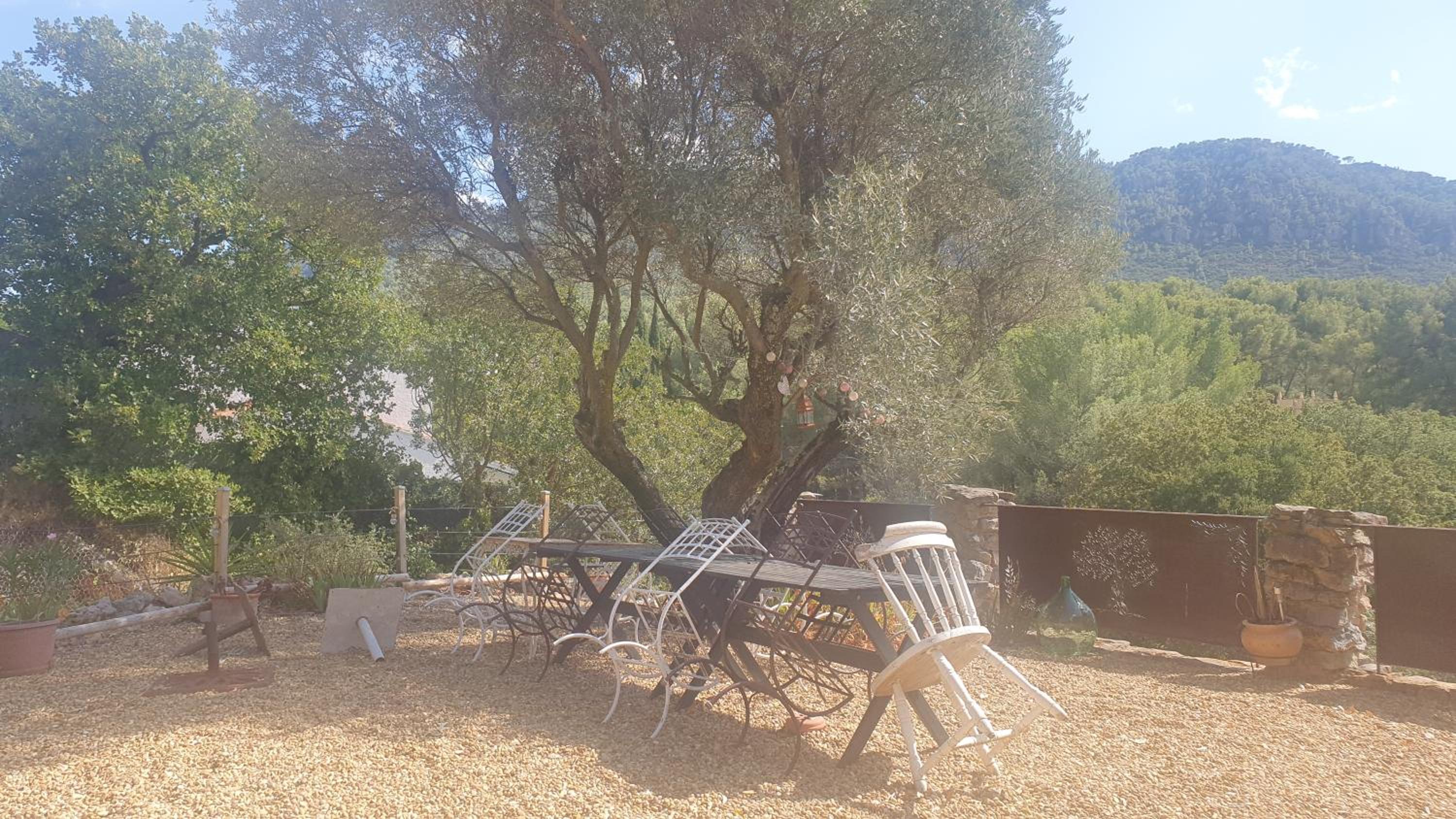 BIENVENUE, photo 25