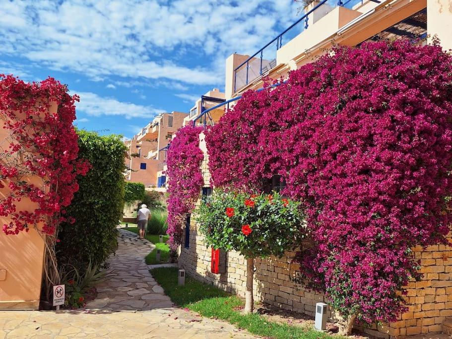 Sea view cozy apartment La Tanita