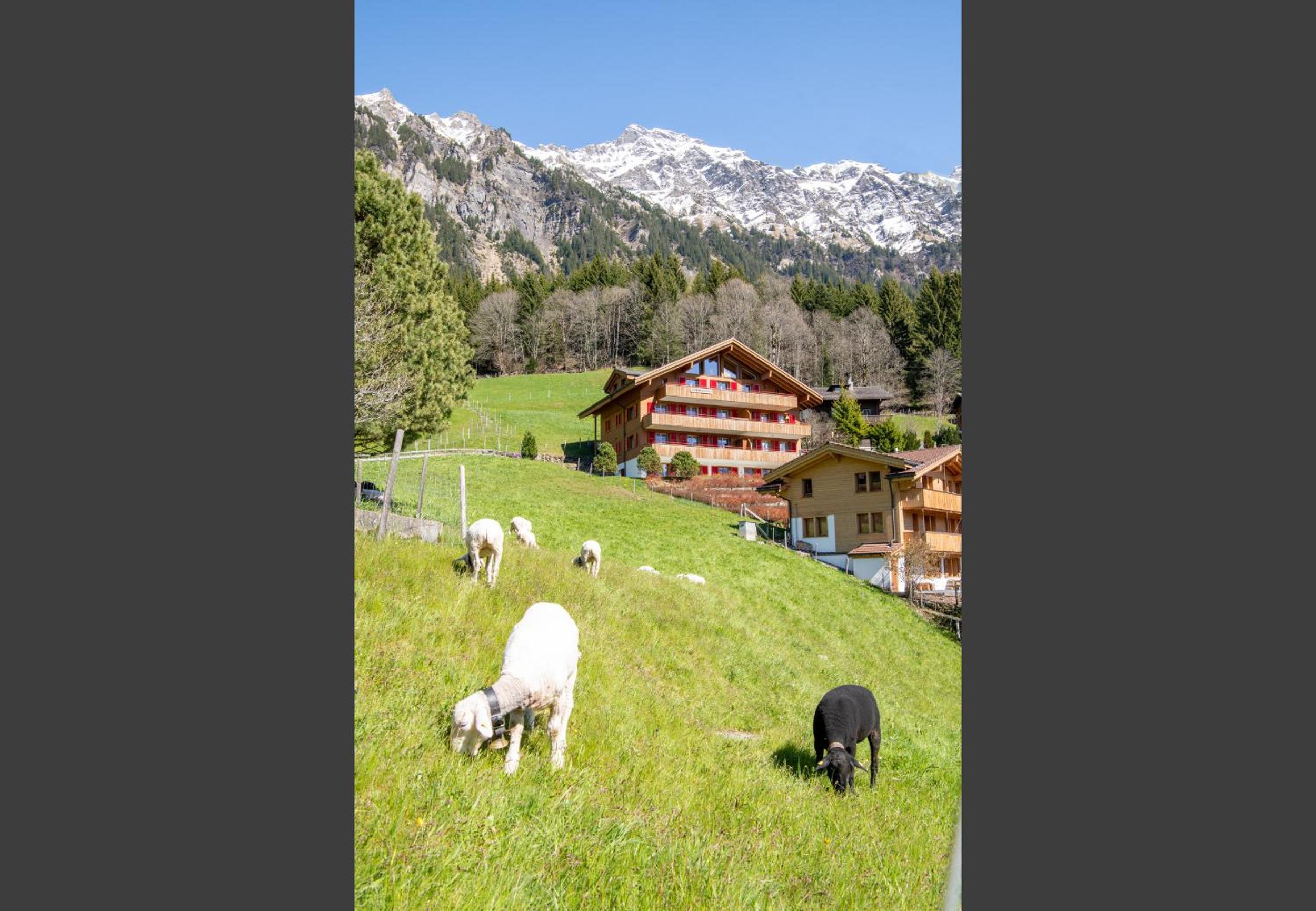 Chalet Bargsunna
