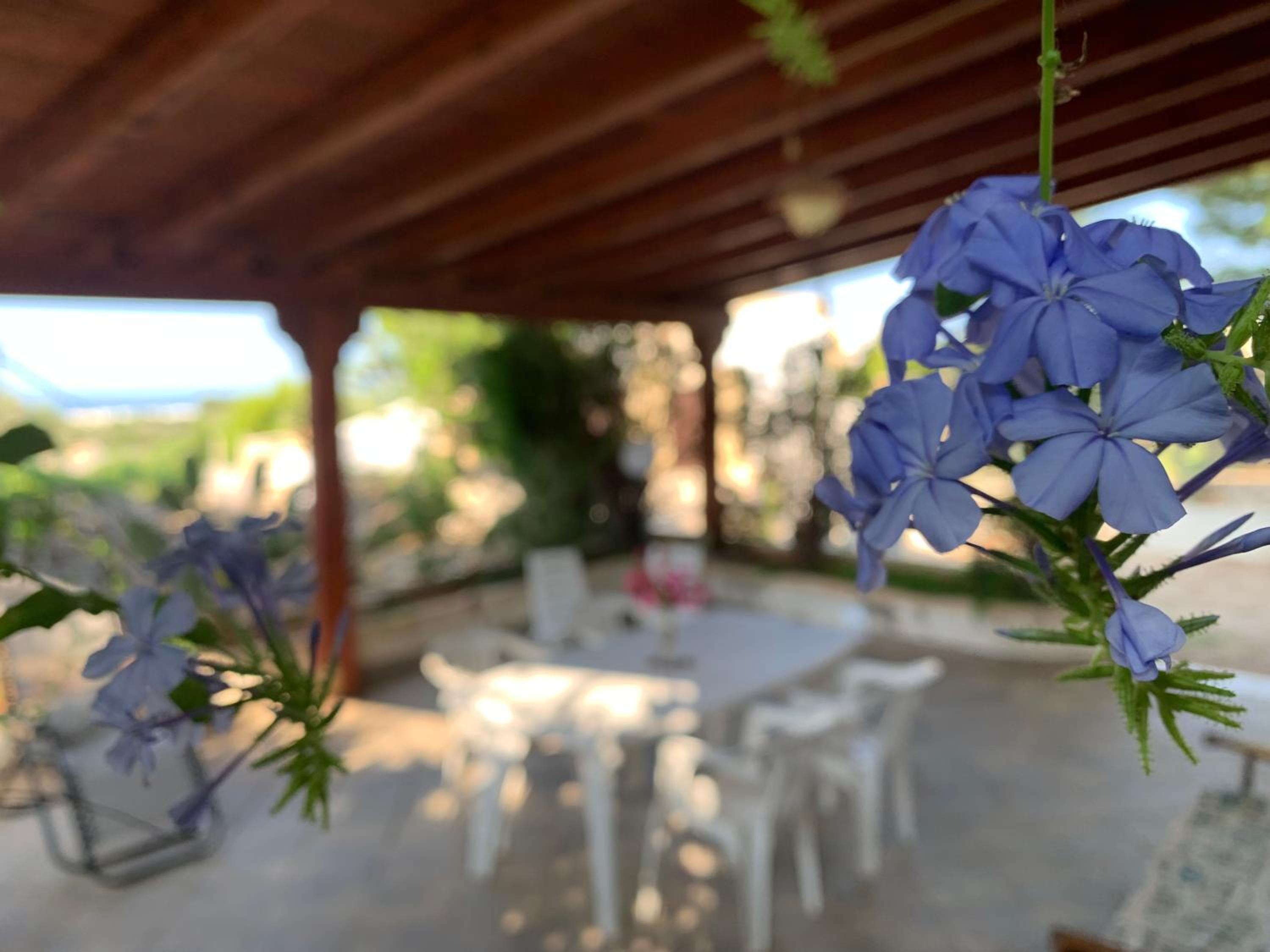 Casa Andrea, fotografía 2