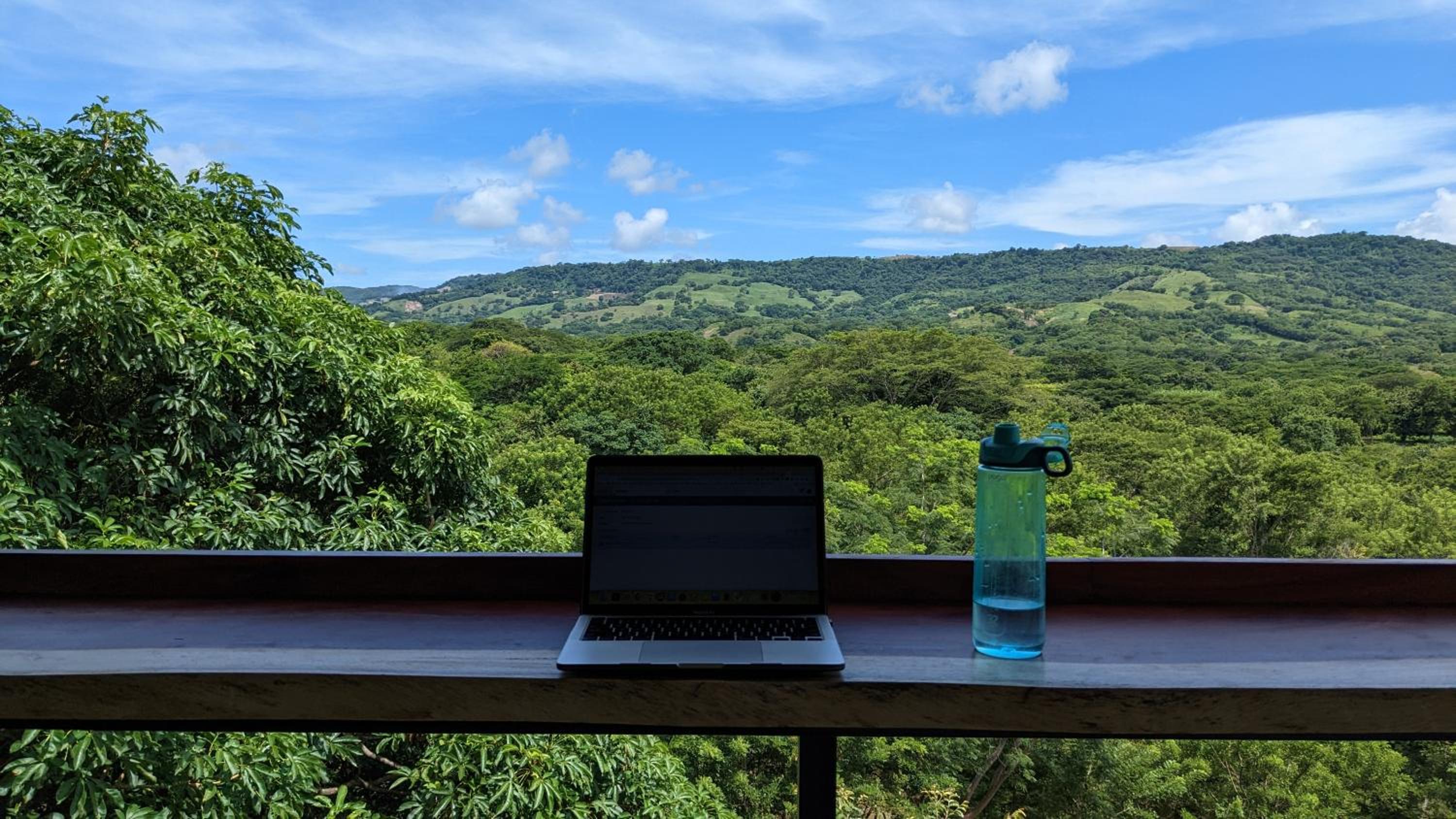 Four Trees Jungle Lodge view 4