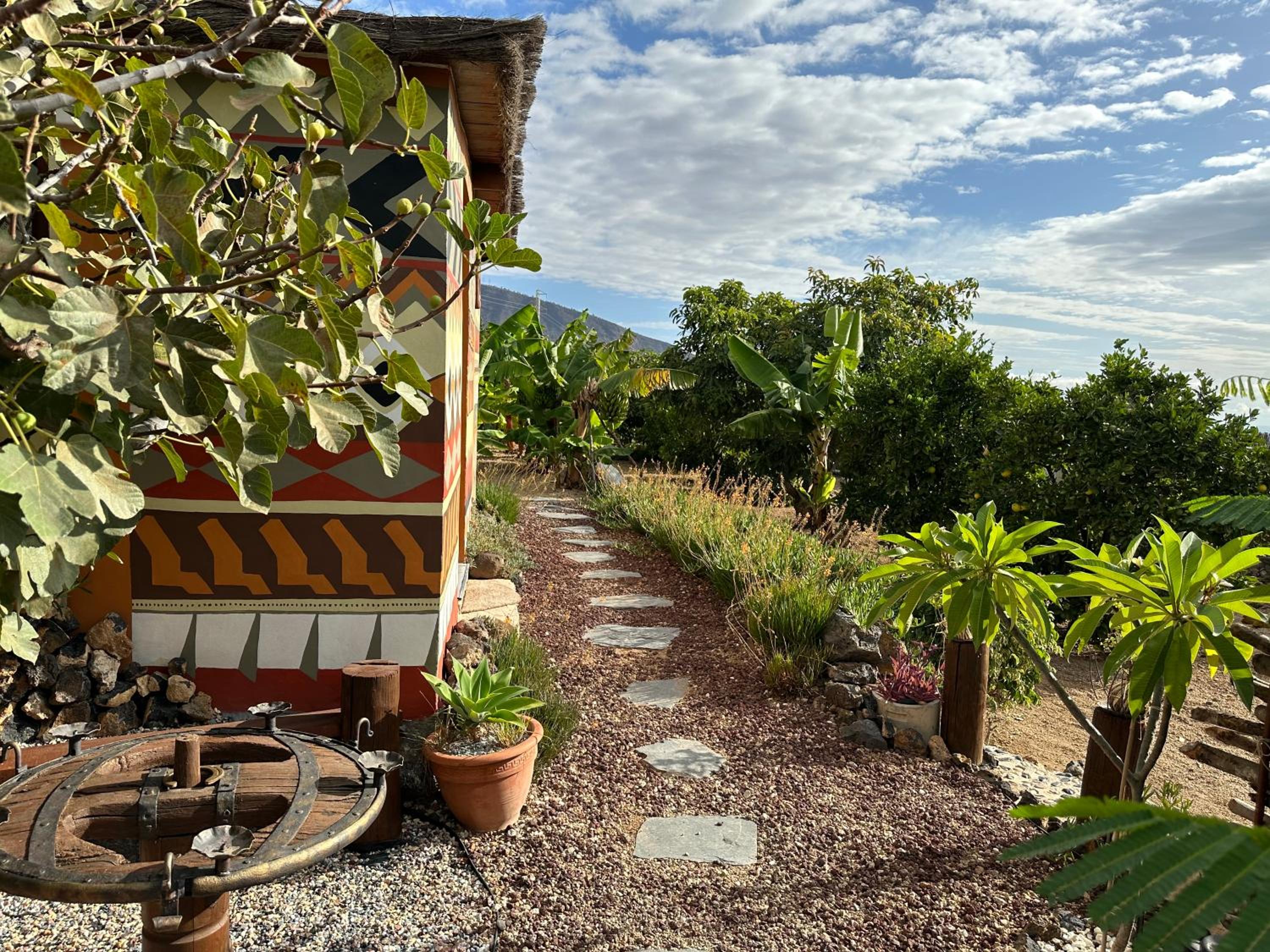 Afrikan Krisant Tenerife, Casa Rural Ecologica