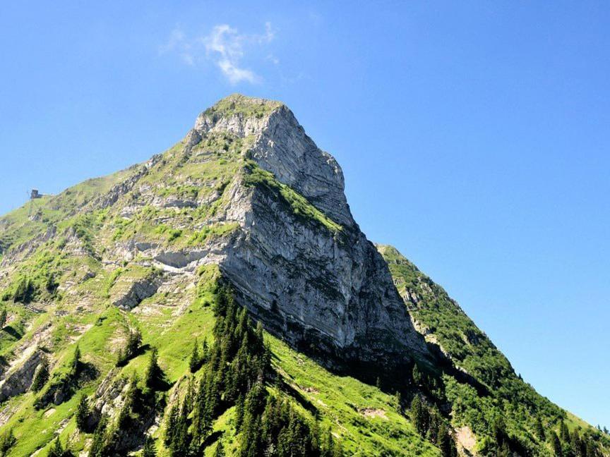 Magnifique Studio à Moléson
