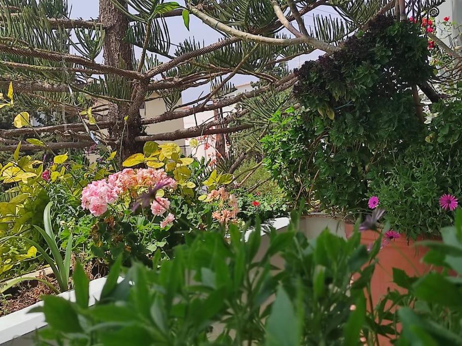 Annitas luxury oasis appartment