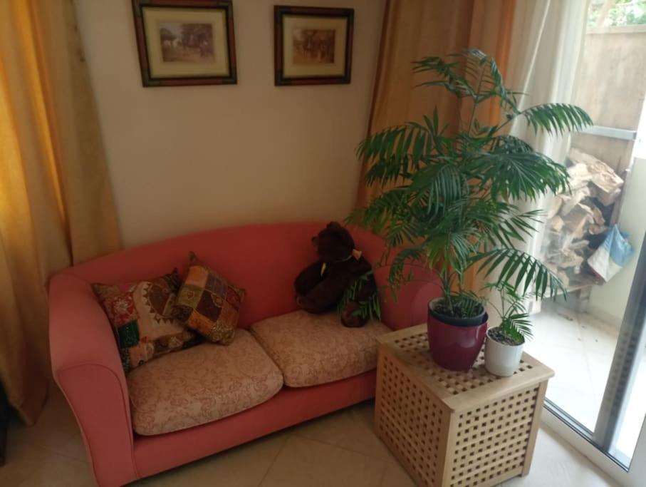 Annitas luxury oasis appartment