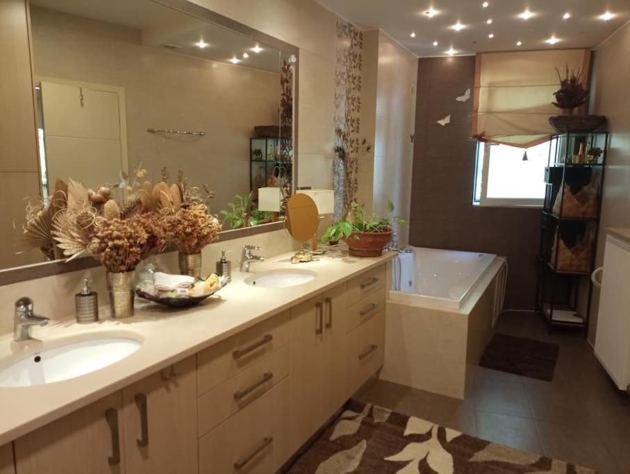 Annitas luxury oasis appartment