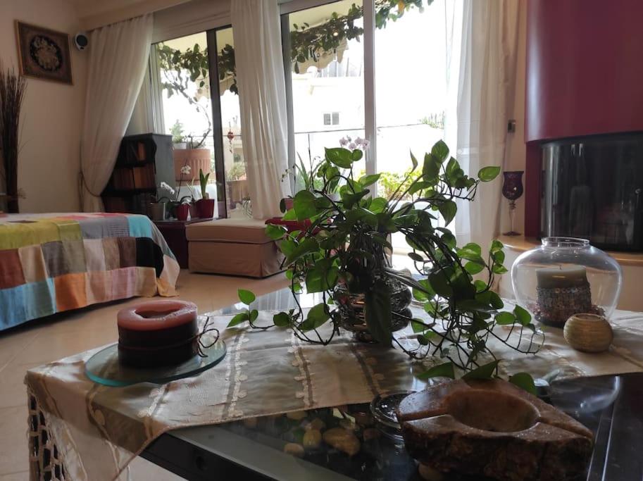 Annitas luxury oasis appartment