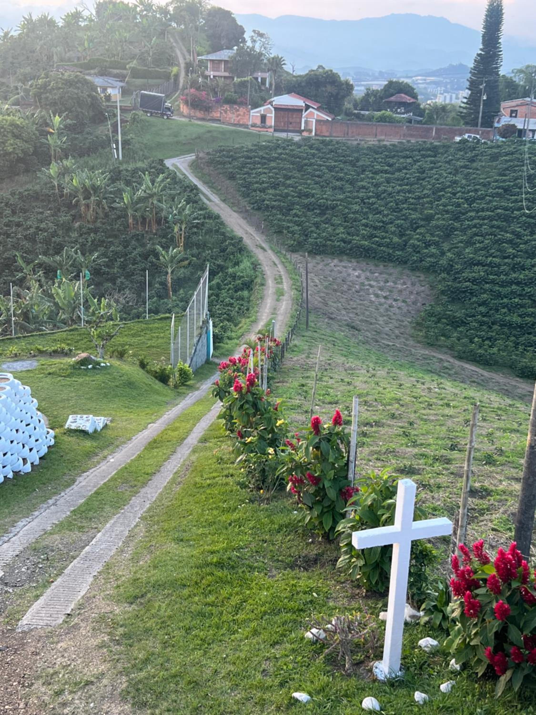 Finca el rosal
