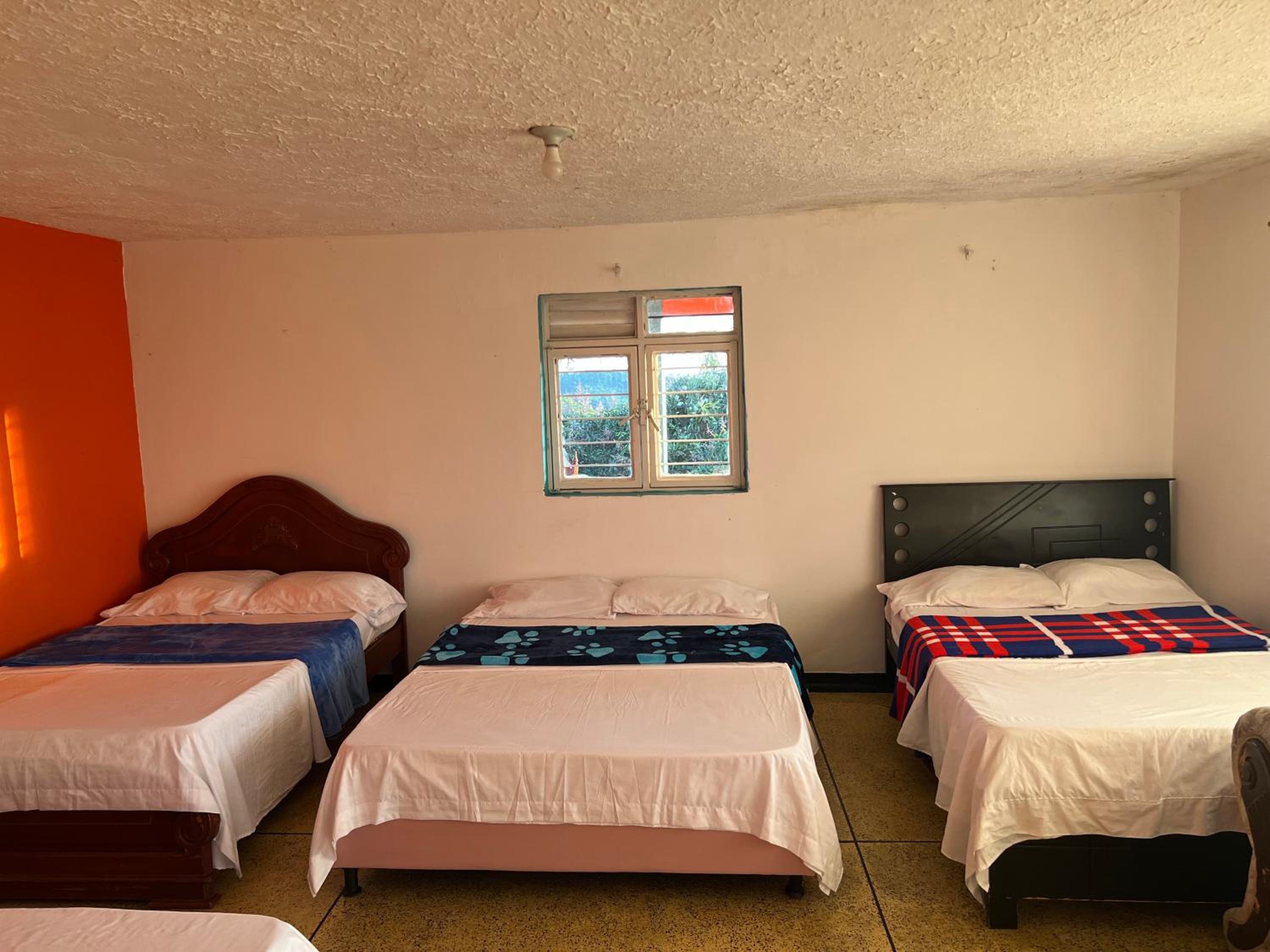 Finca el rosal