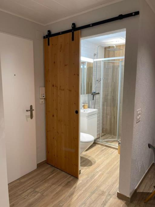 Mountain View Studio Klosters