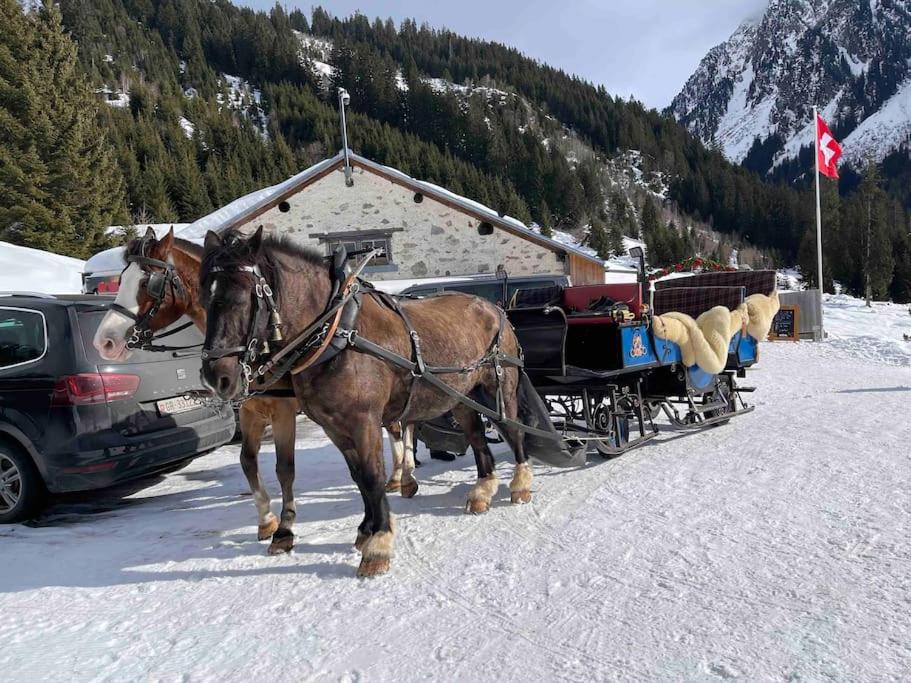 Mountain View Studio Klosters