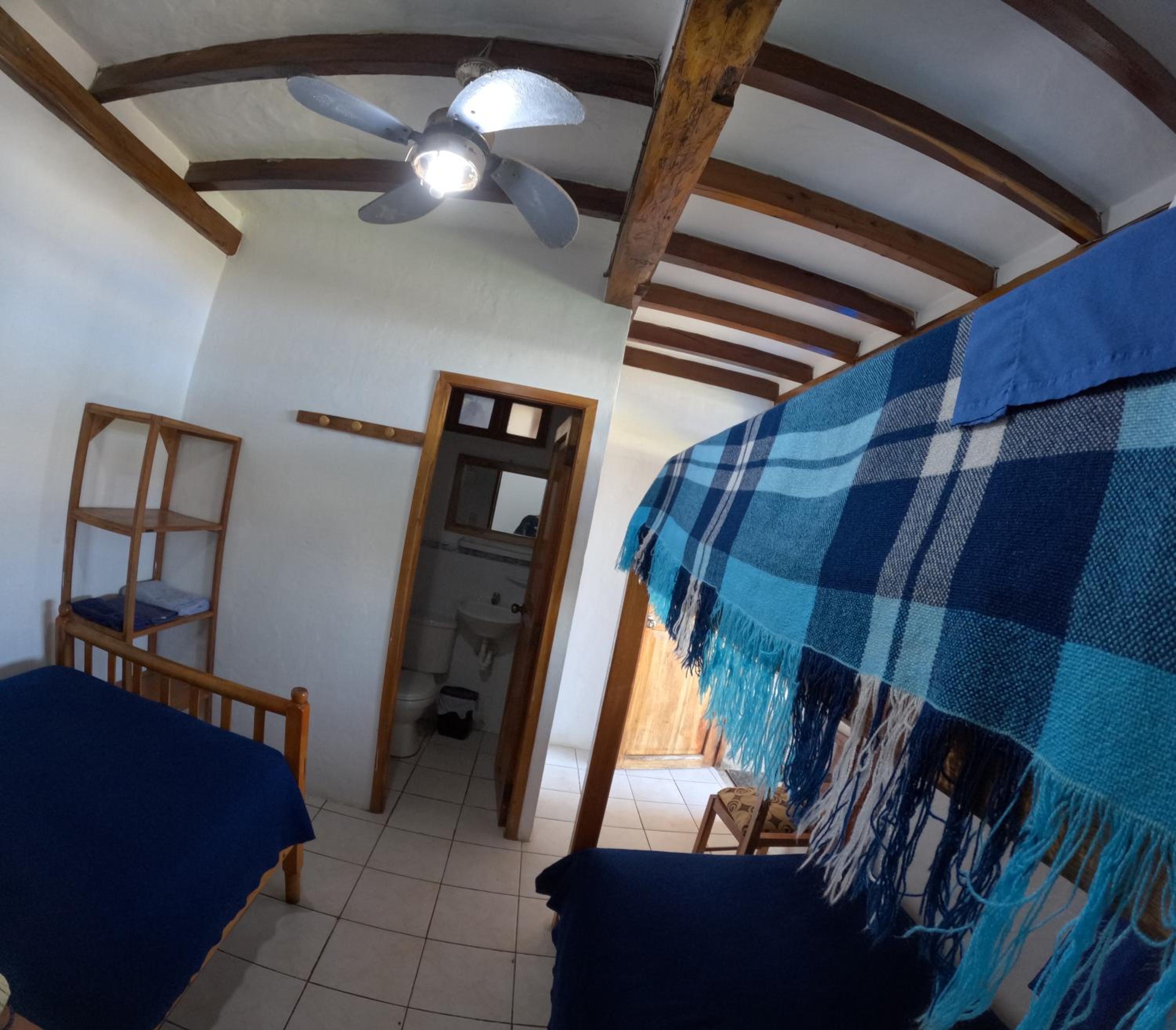 Photo 35
