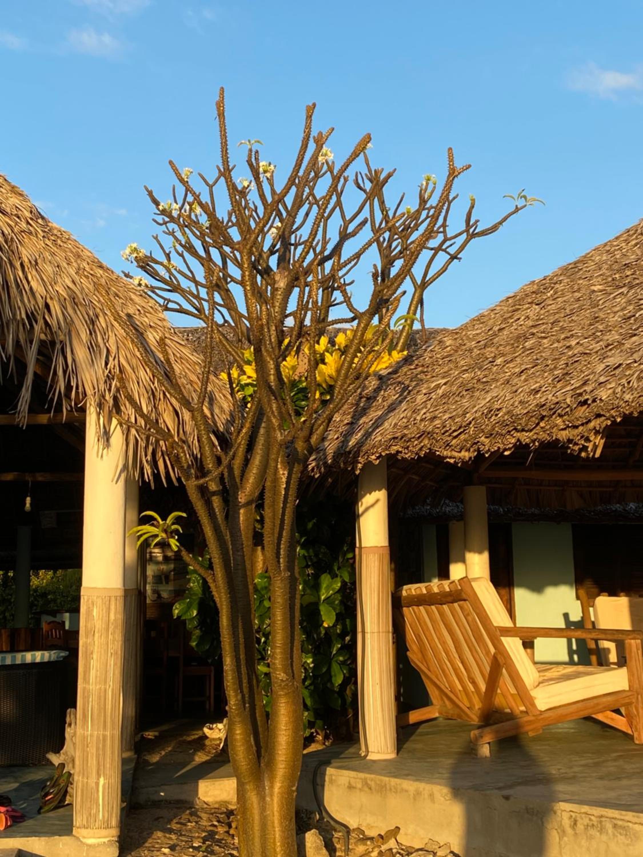 Mitsio Paradise - Hotel privatif en pension complète