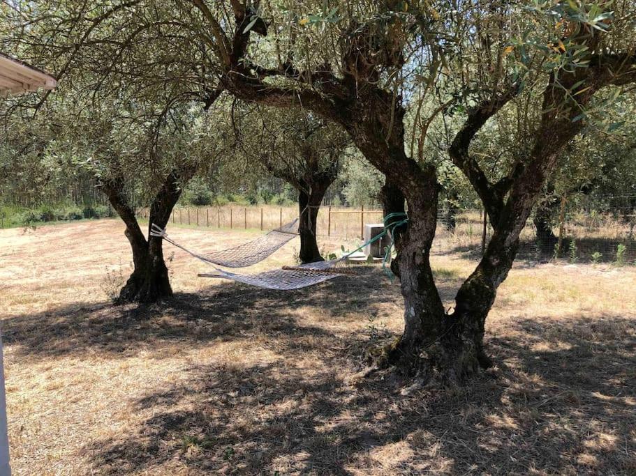 Photo 33
