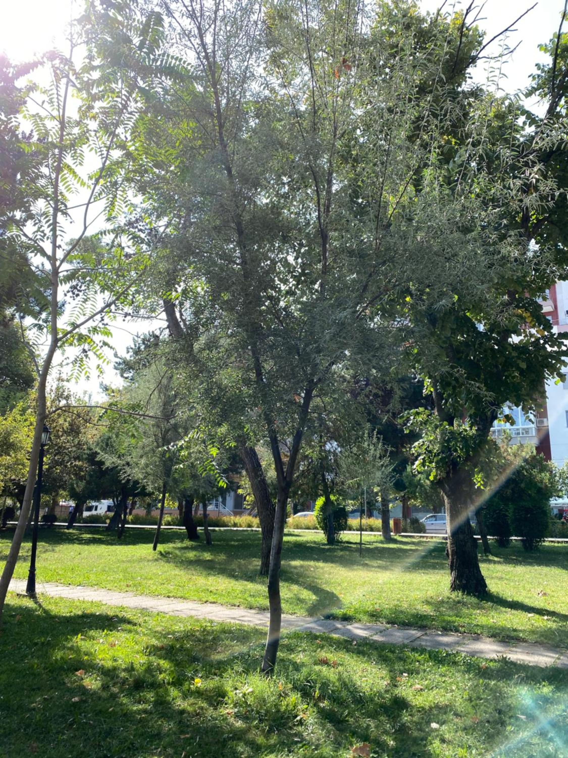 Matilde Apartment