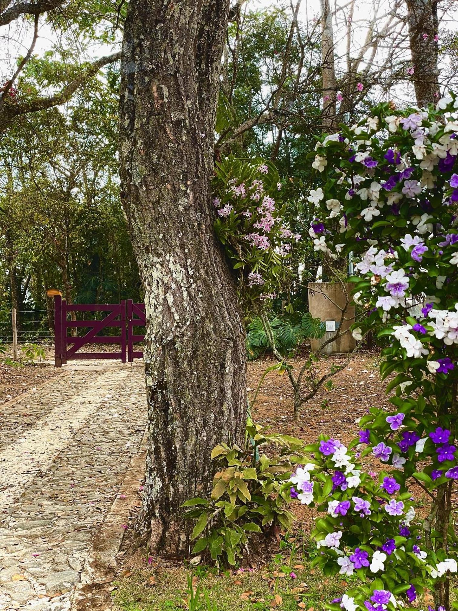 Sitio Recanto Maçussa