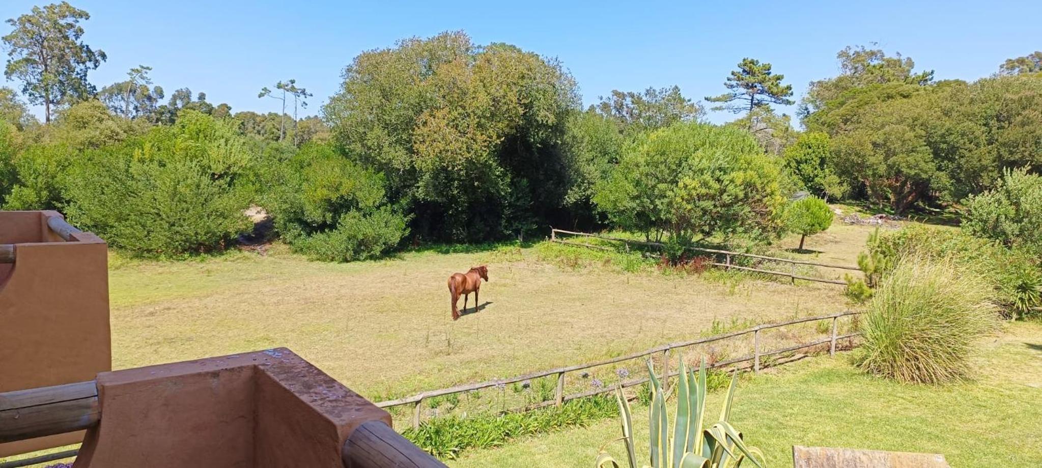 Casas da Barra view 4