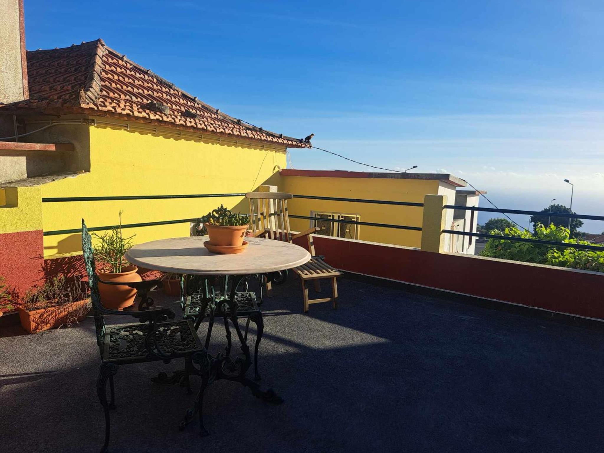 Calheta Countryside view 4