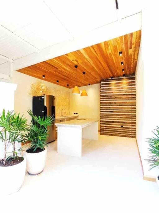 Villas Nish Nash