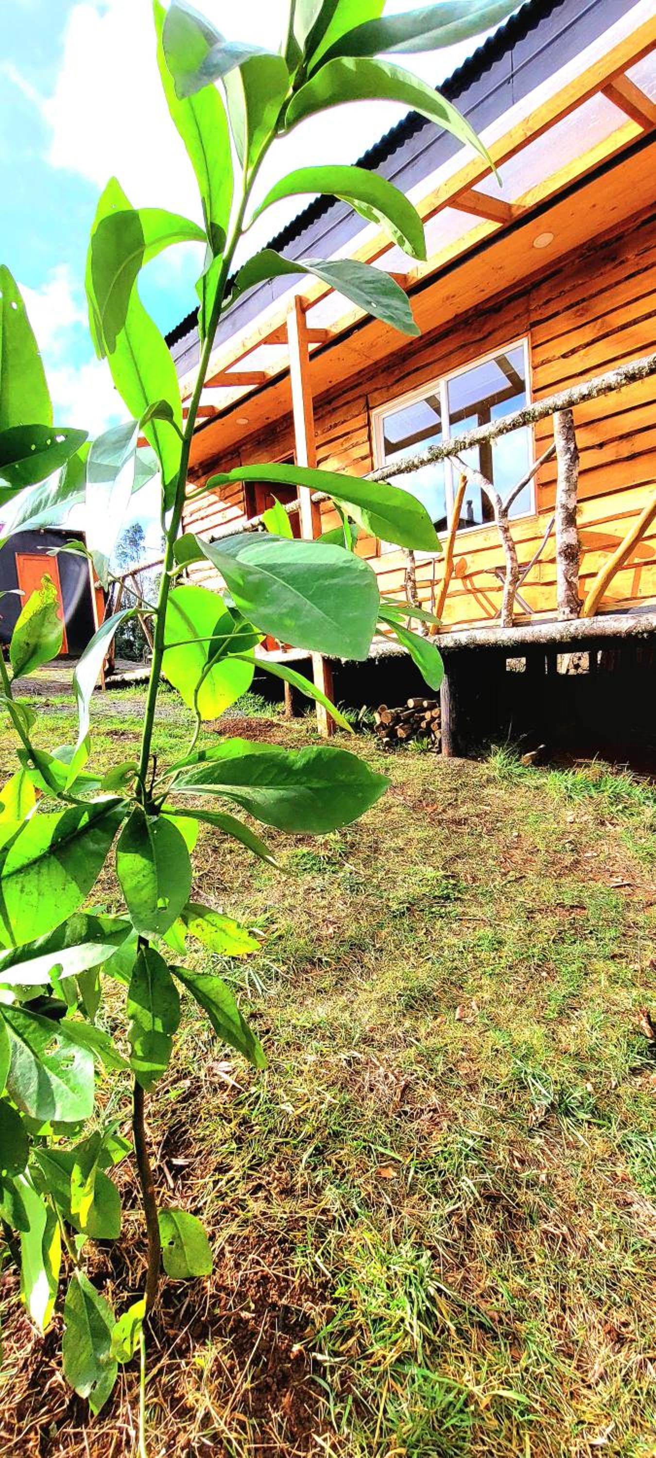 Karu-Terra cabin