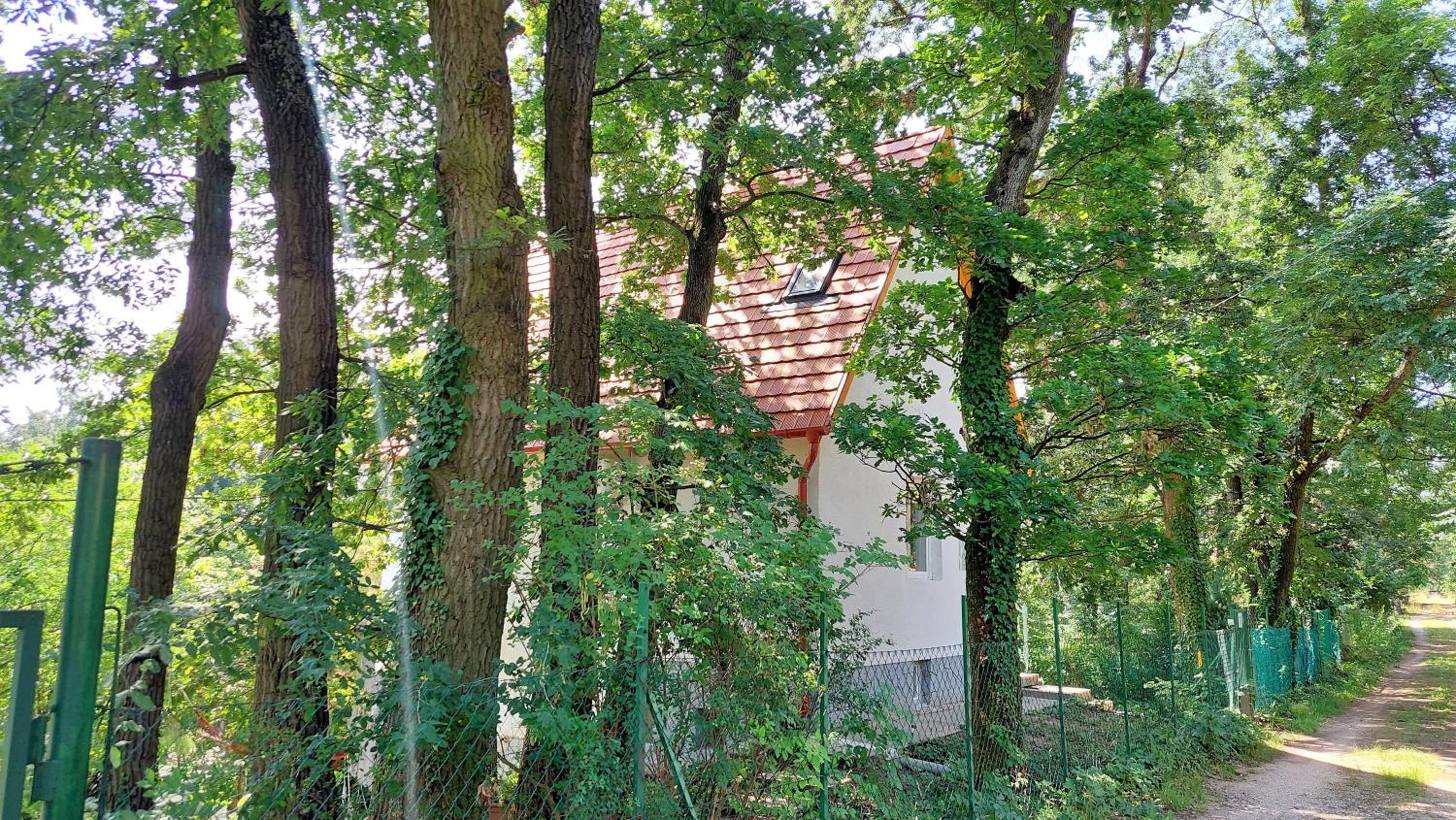 Szepihenő