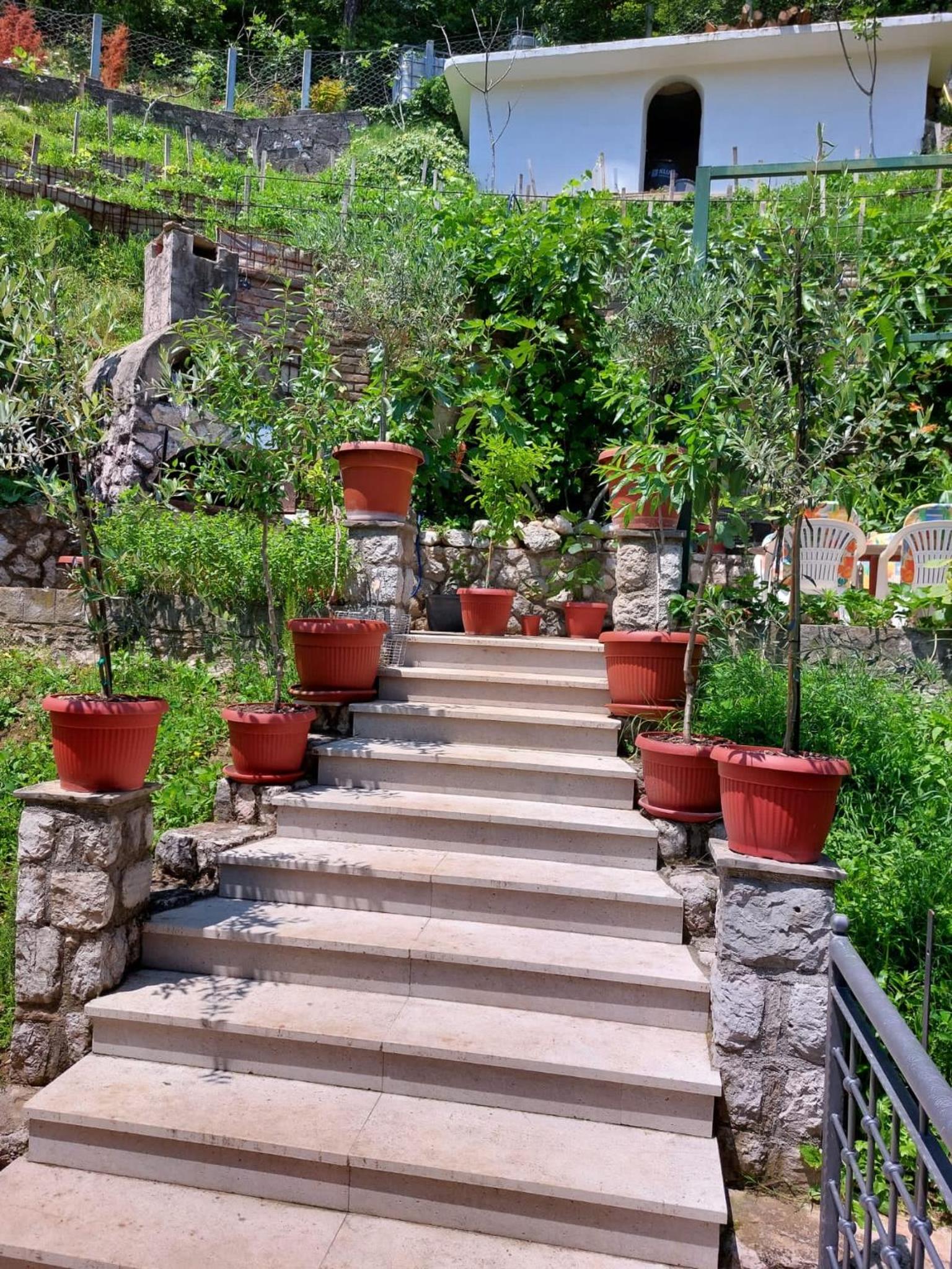 Apartment Stari Pazar 2